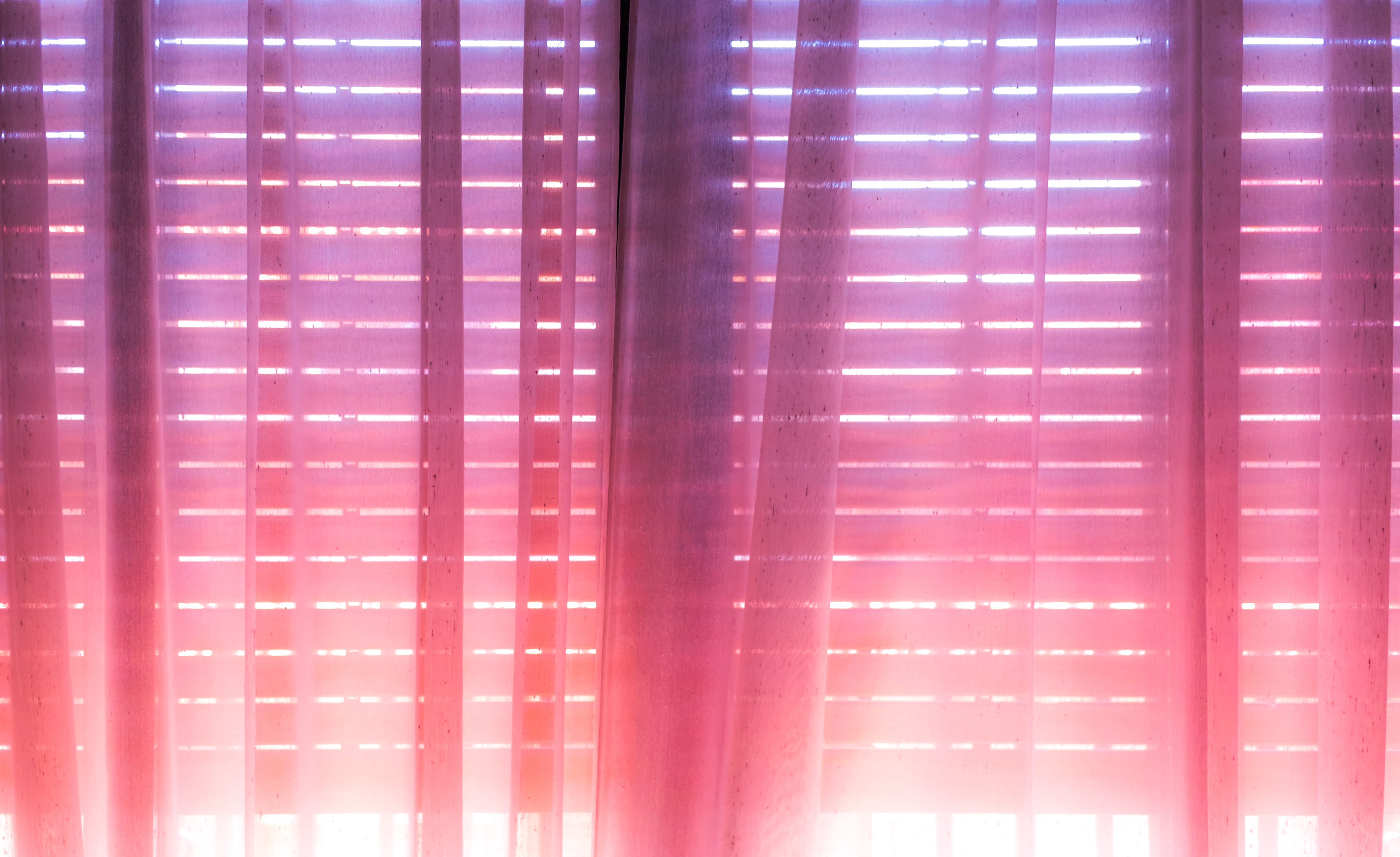 photo of pink and purple ombre curtain, Shadows, curtains, blinds