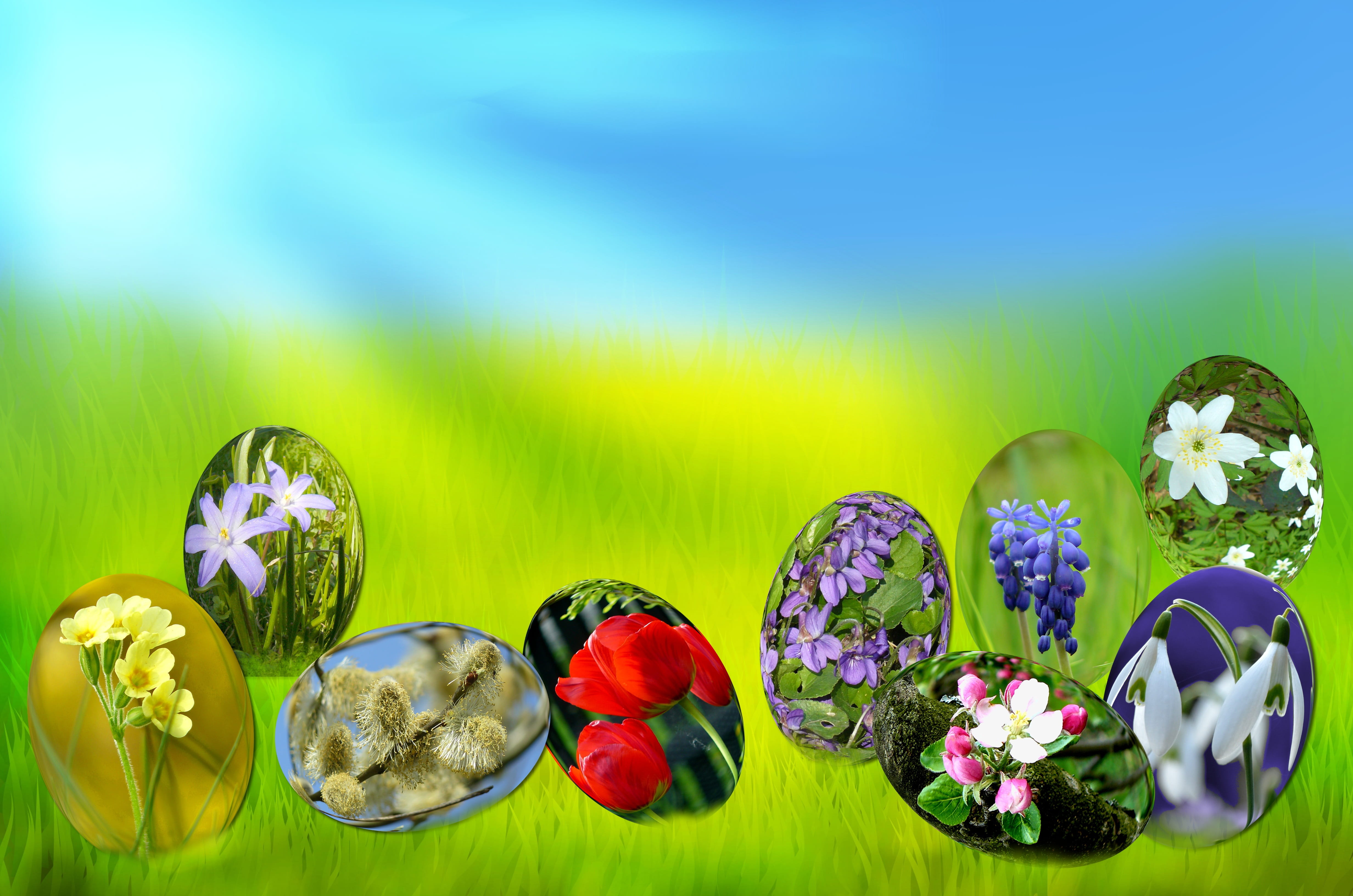 Easter, Eggs, Spring, Sun, Grass, Green, sky, blue, light, primrose