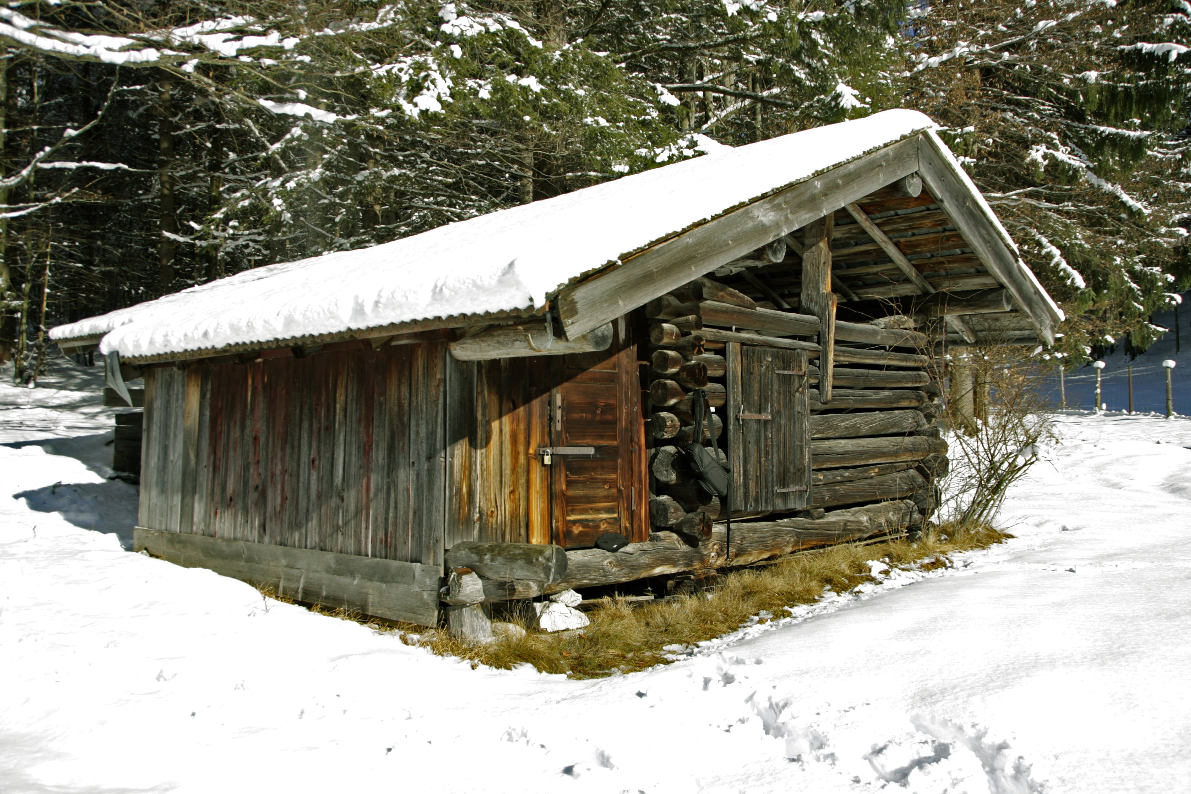 building, stall, winter, forest, nature, snow, cold temperature
