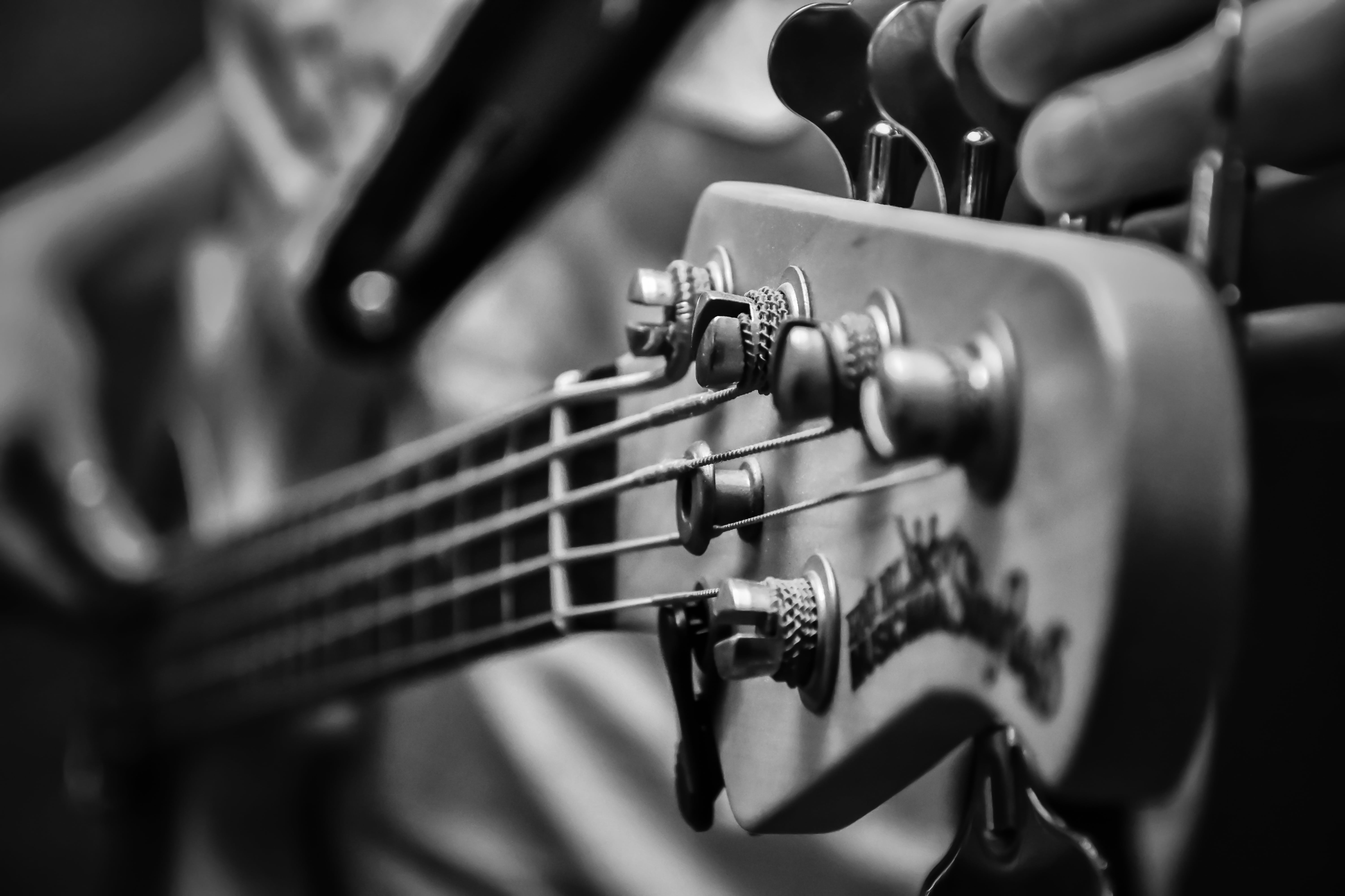 grayscale photography of guitar headstock, music, low, electric bass