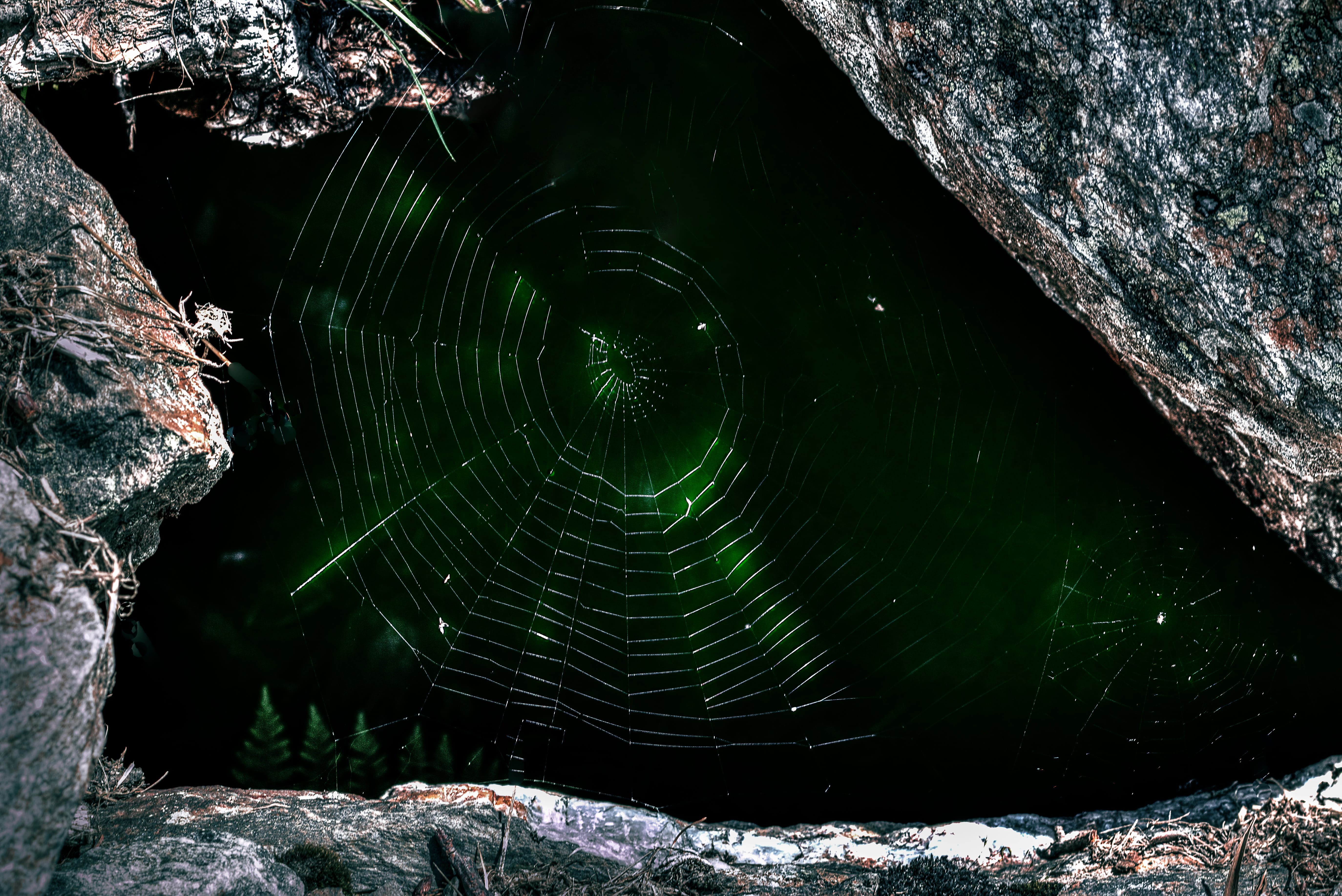 landscape, dark, rocks, pattern, blur, close-up, environment
