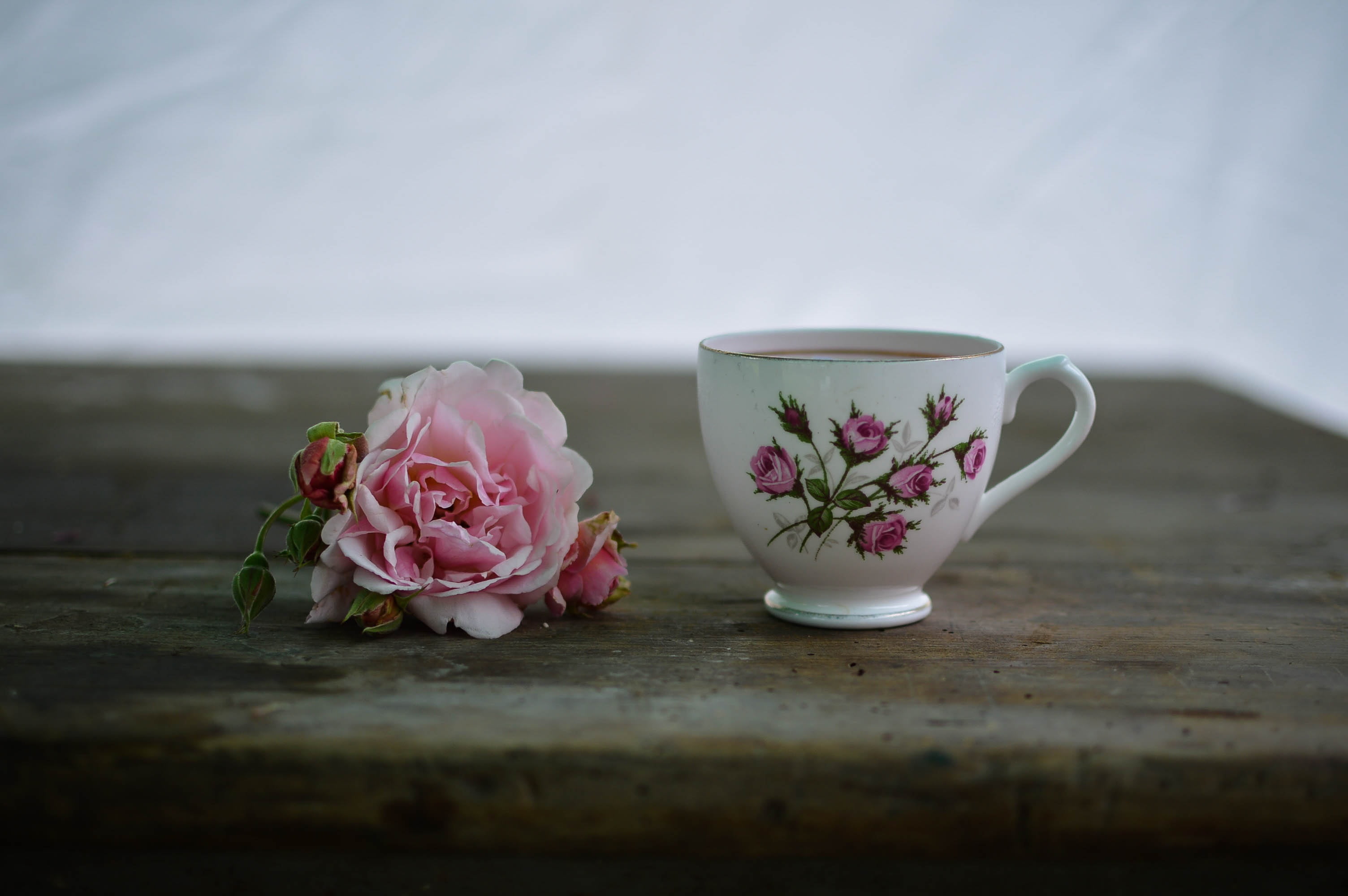 white and pink floral ceramic cup with coffee, drink, flower
