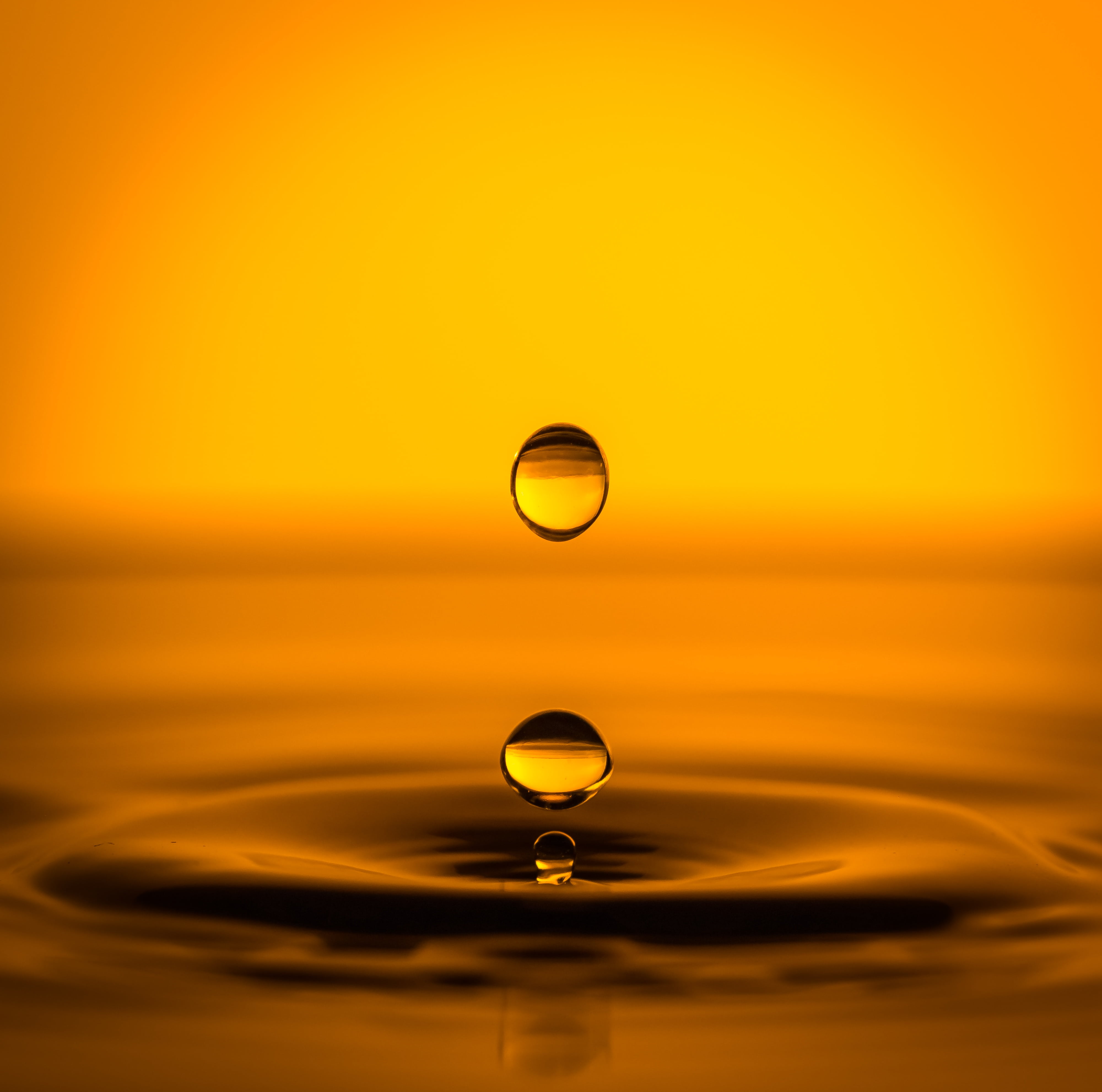 macro photography of yellow liquid droplet, drop art, water, drops