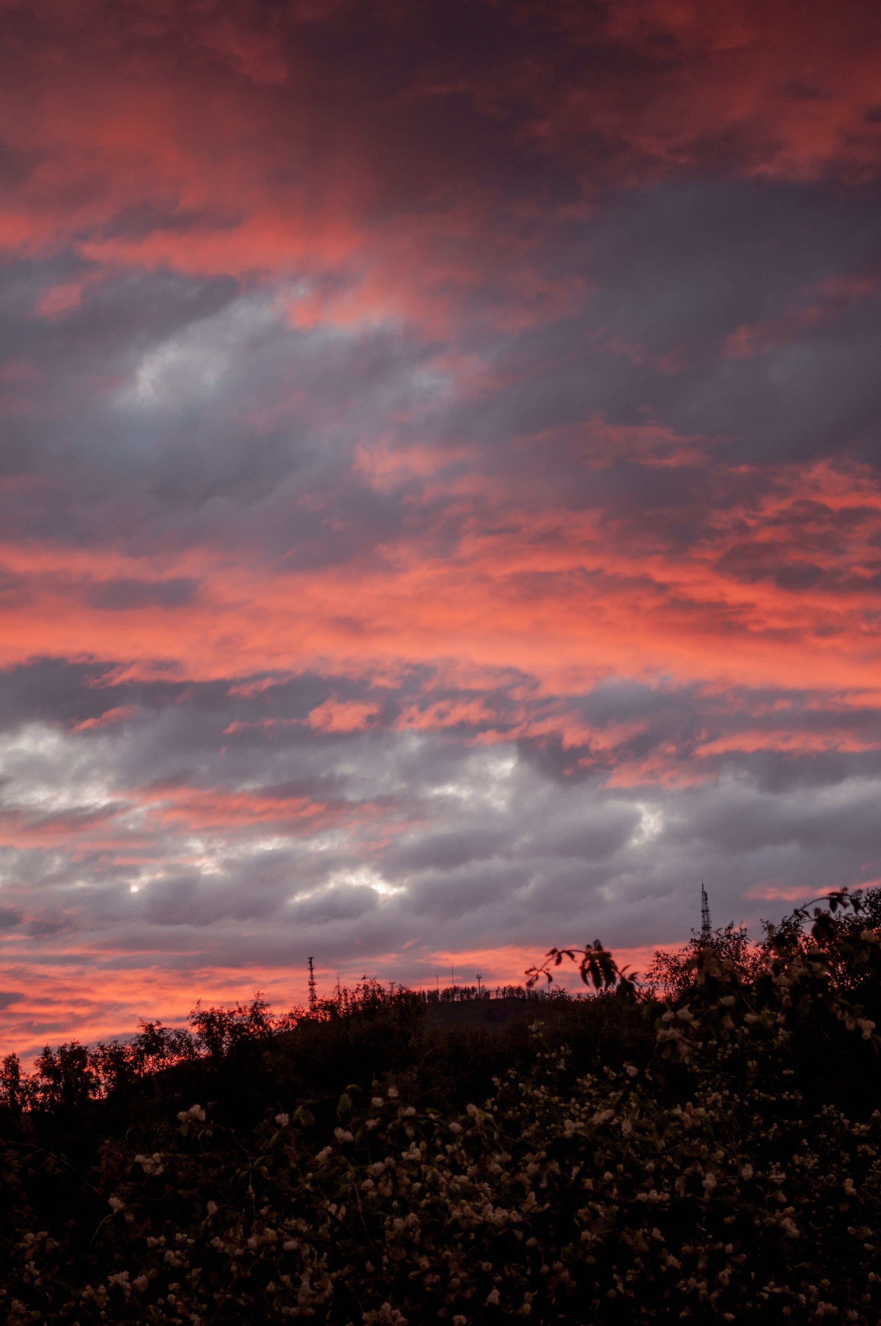 sunset, clouds, red, sky, evening, summer, landscape, cloud - sky