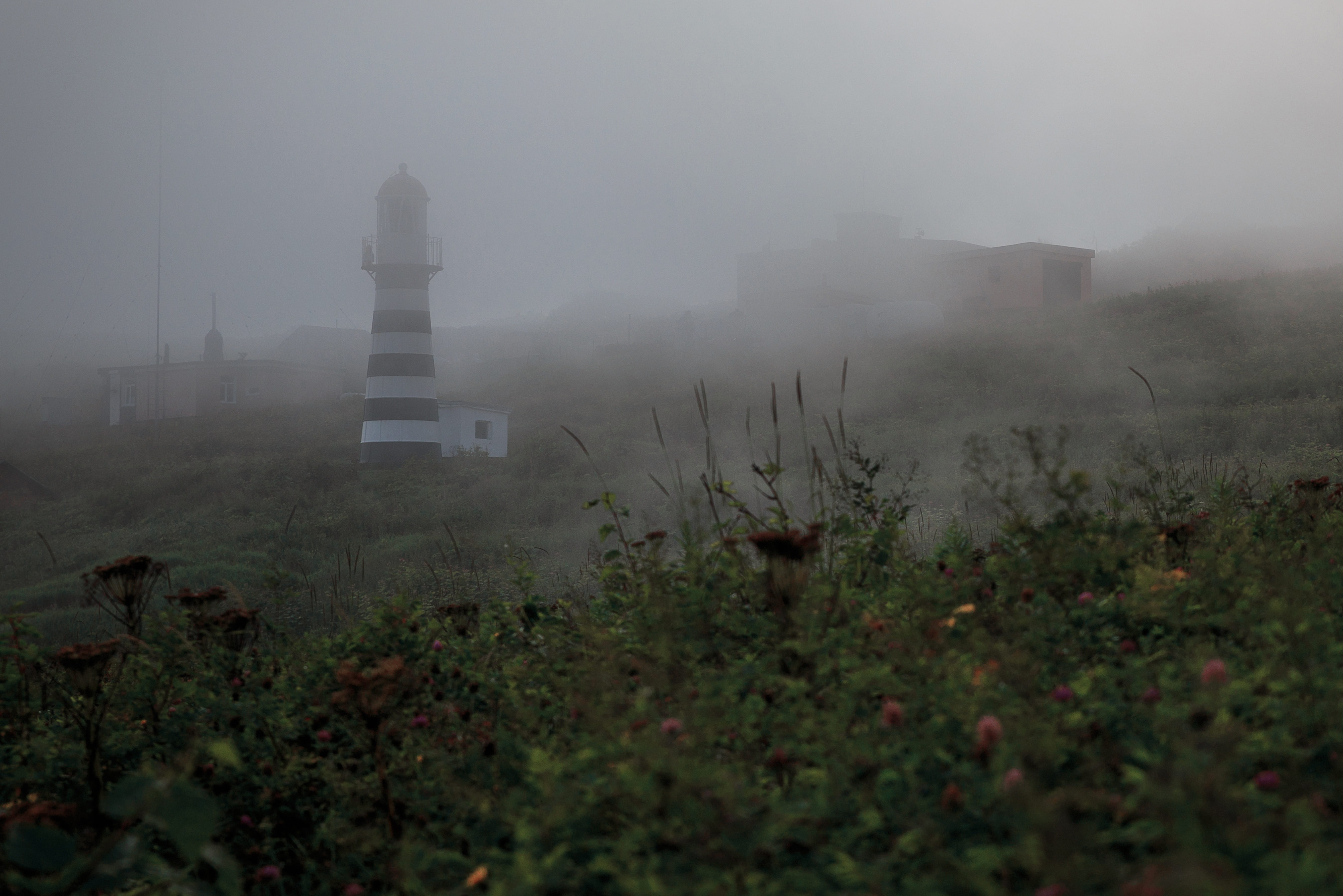 fog, nature, landscape, dawn, architecture, built structure