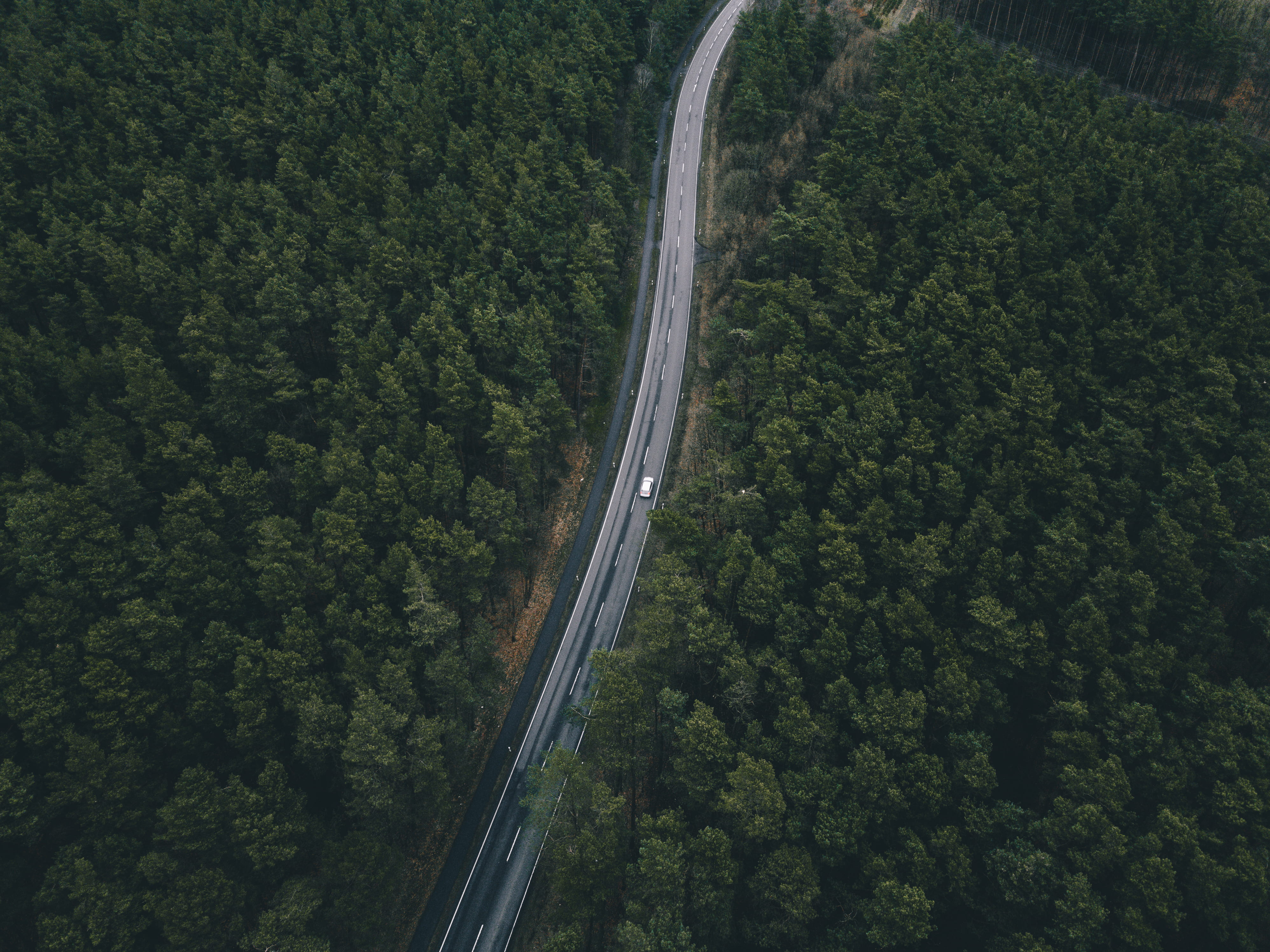 birds eye photography of white vehicle on road, aerial view of road surrounded by trees
