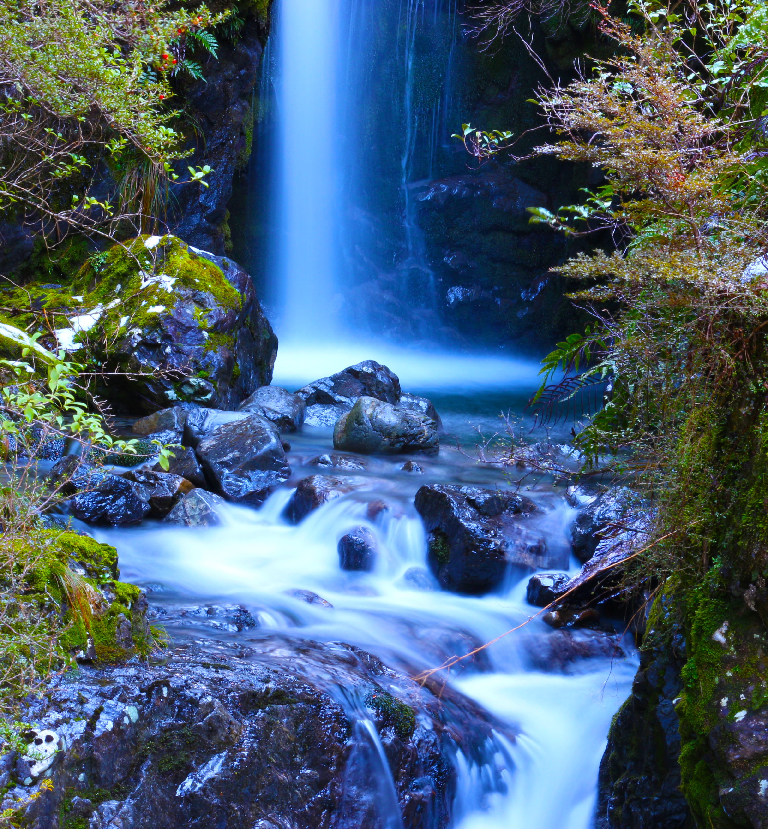 water, fall, plants, rock, rock - object, solid, waterfall