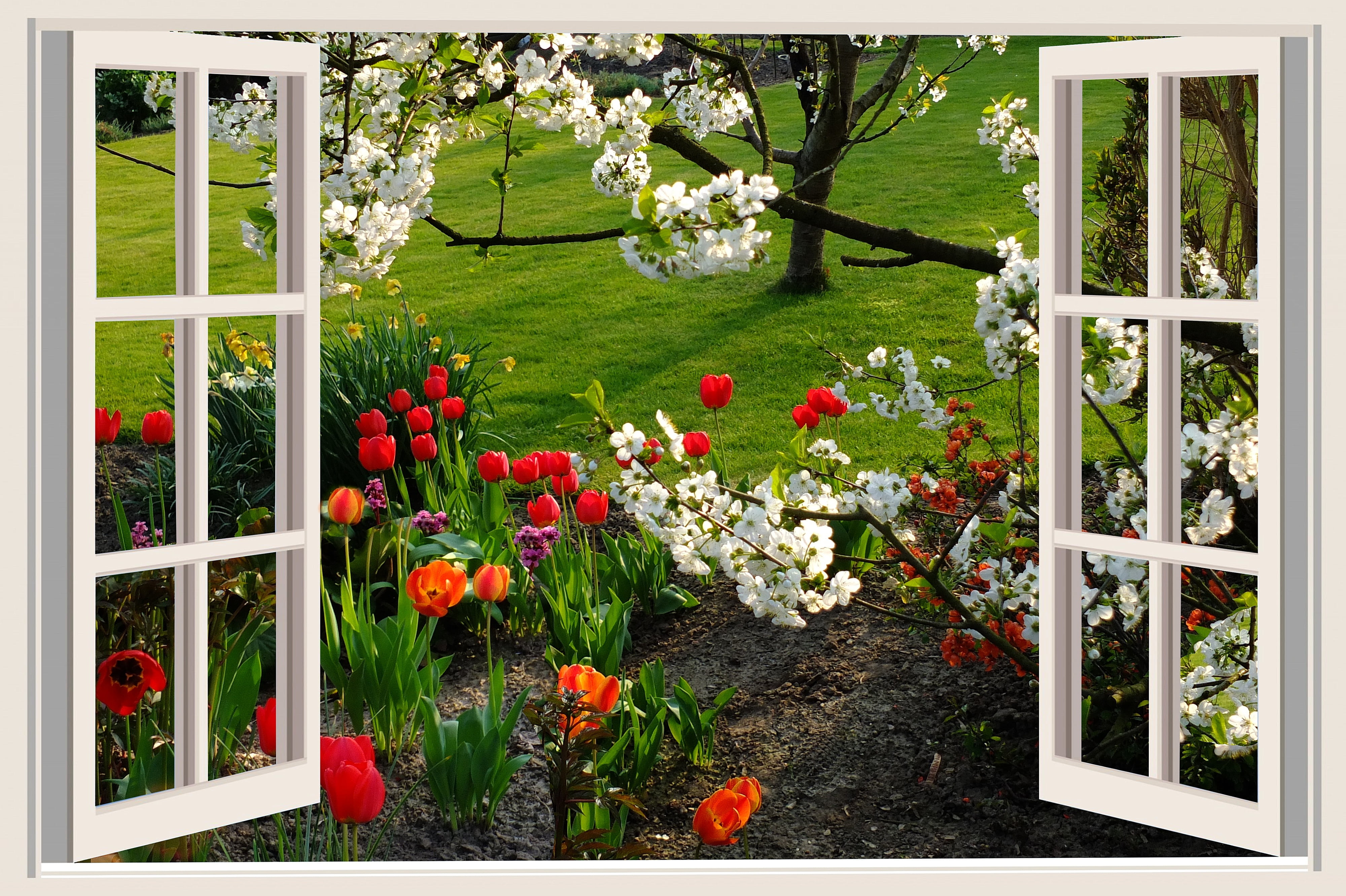 assorted flowers, a beautiful day, good mood, joy, tulips, window