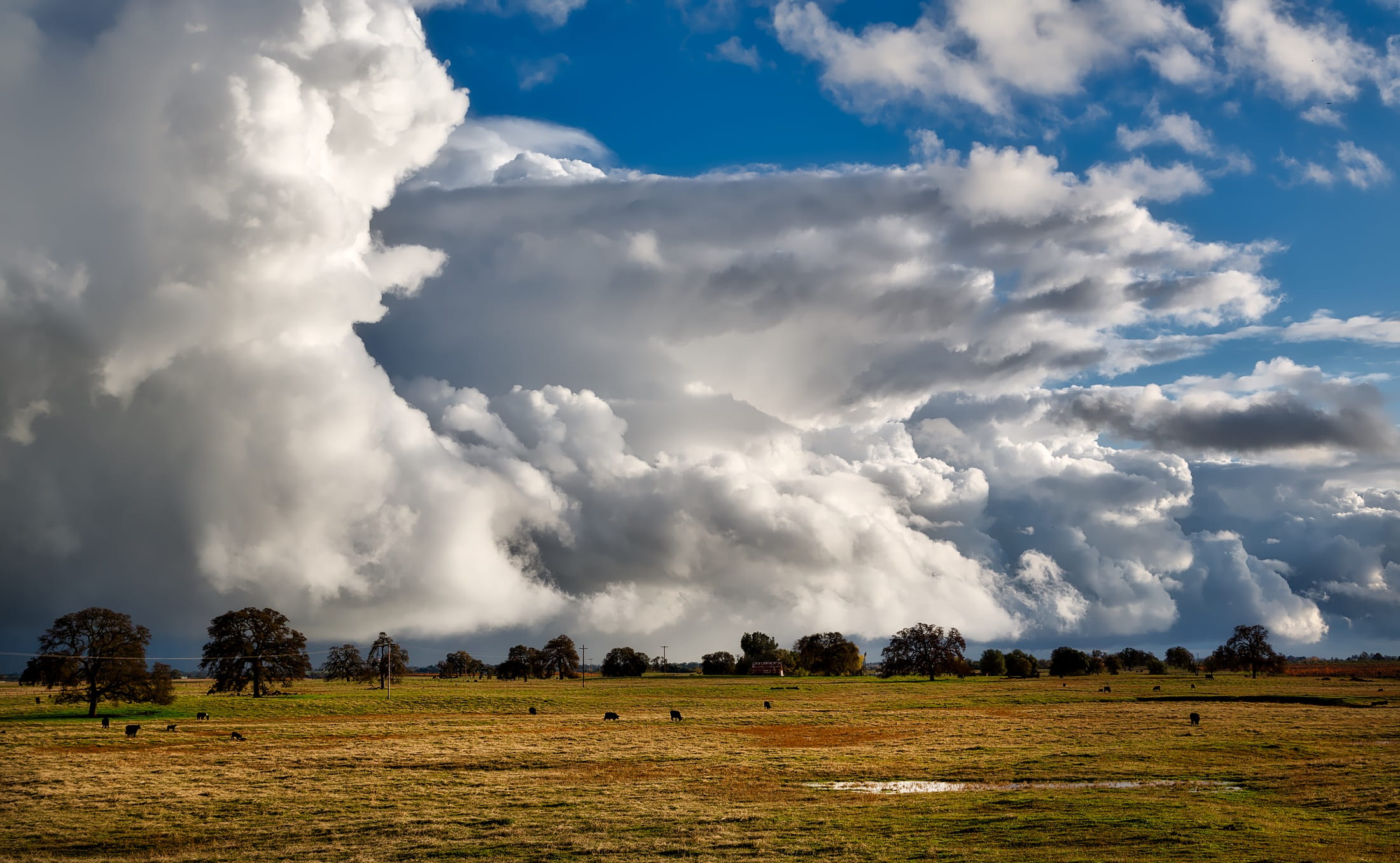 grass field, sky, clouds, cloudscape, clouded, skies, surreal