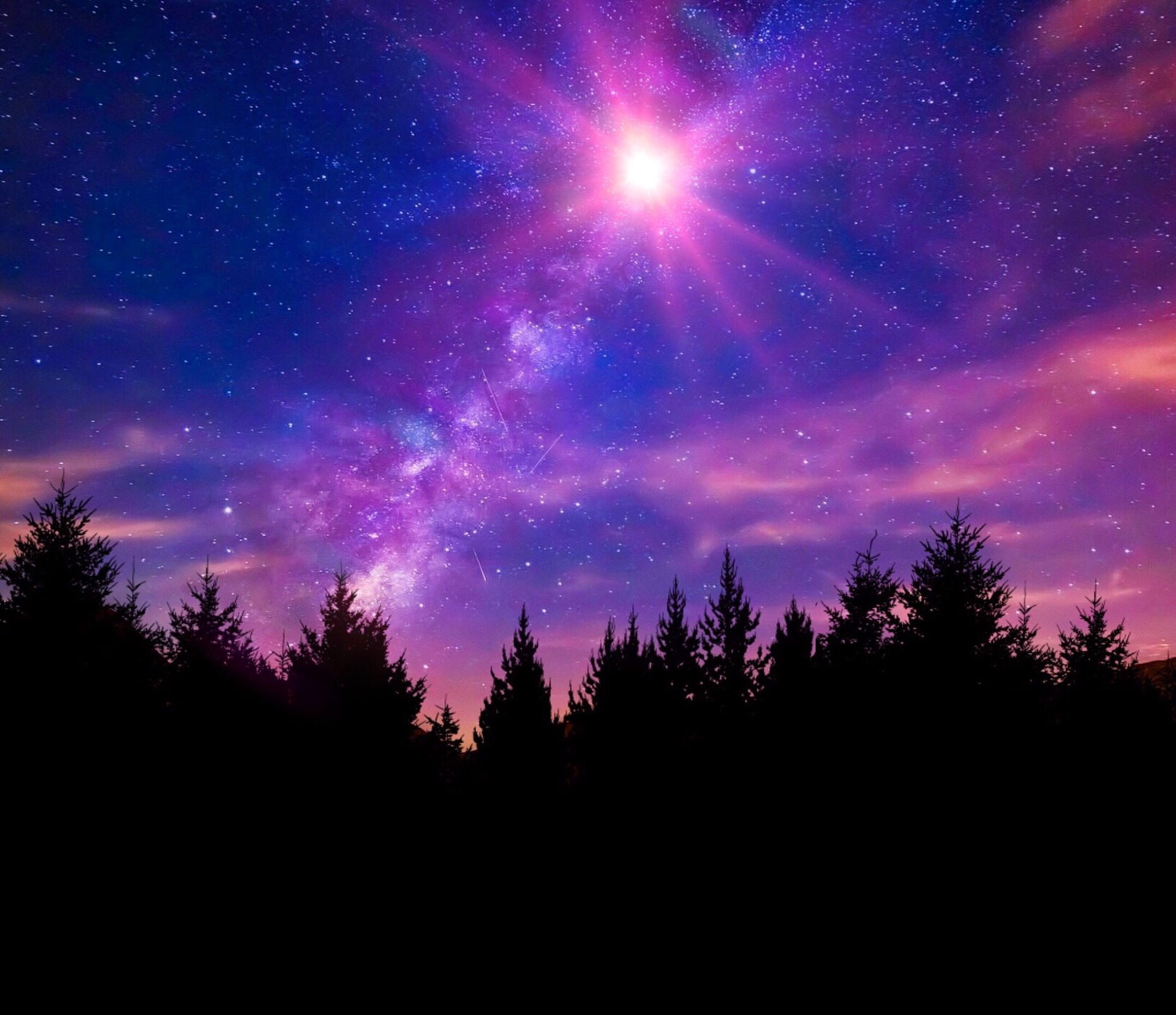 silhouette photography of trees, nebula, milky way, night sky