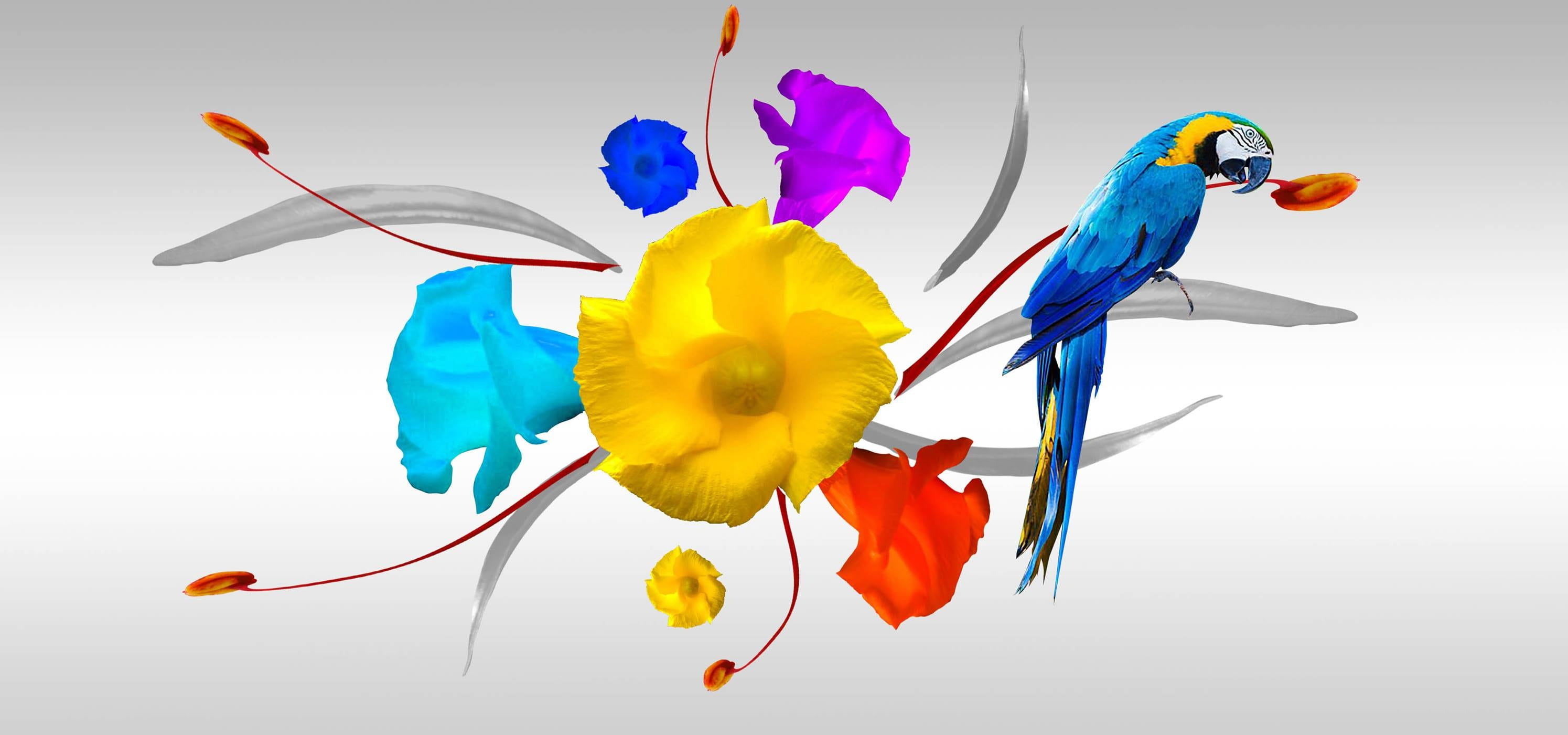 prints, tissues, design, multi colored, studio shot, yellow