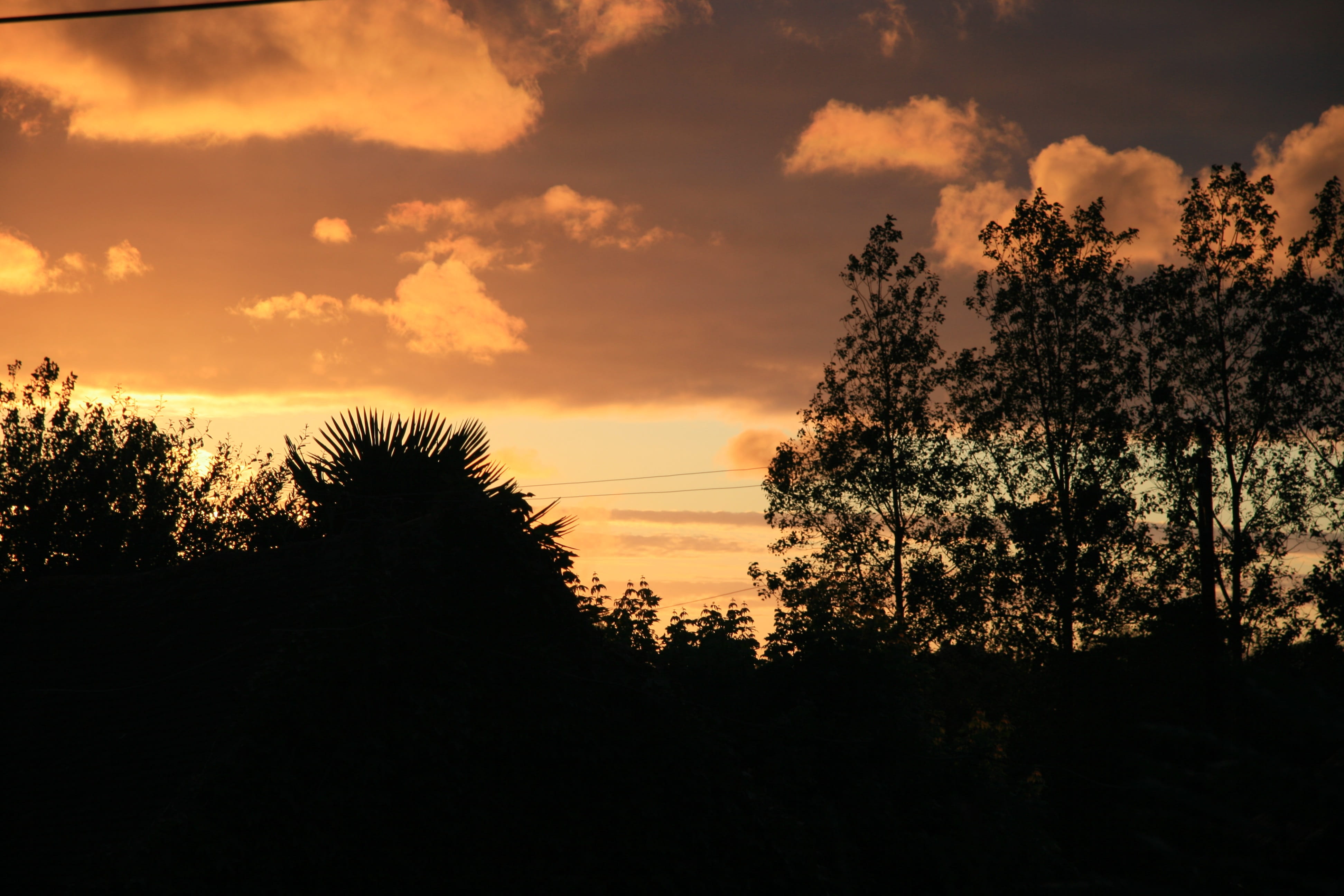 Sunset, Shadow, Twilight, tree, silhouette, cloud - sky, nature