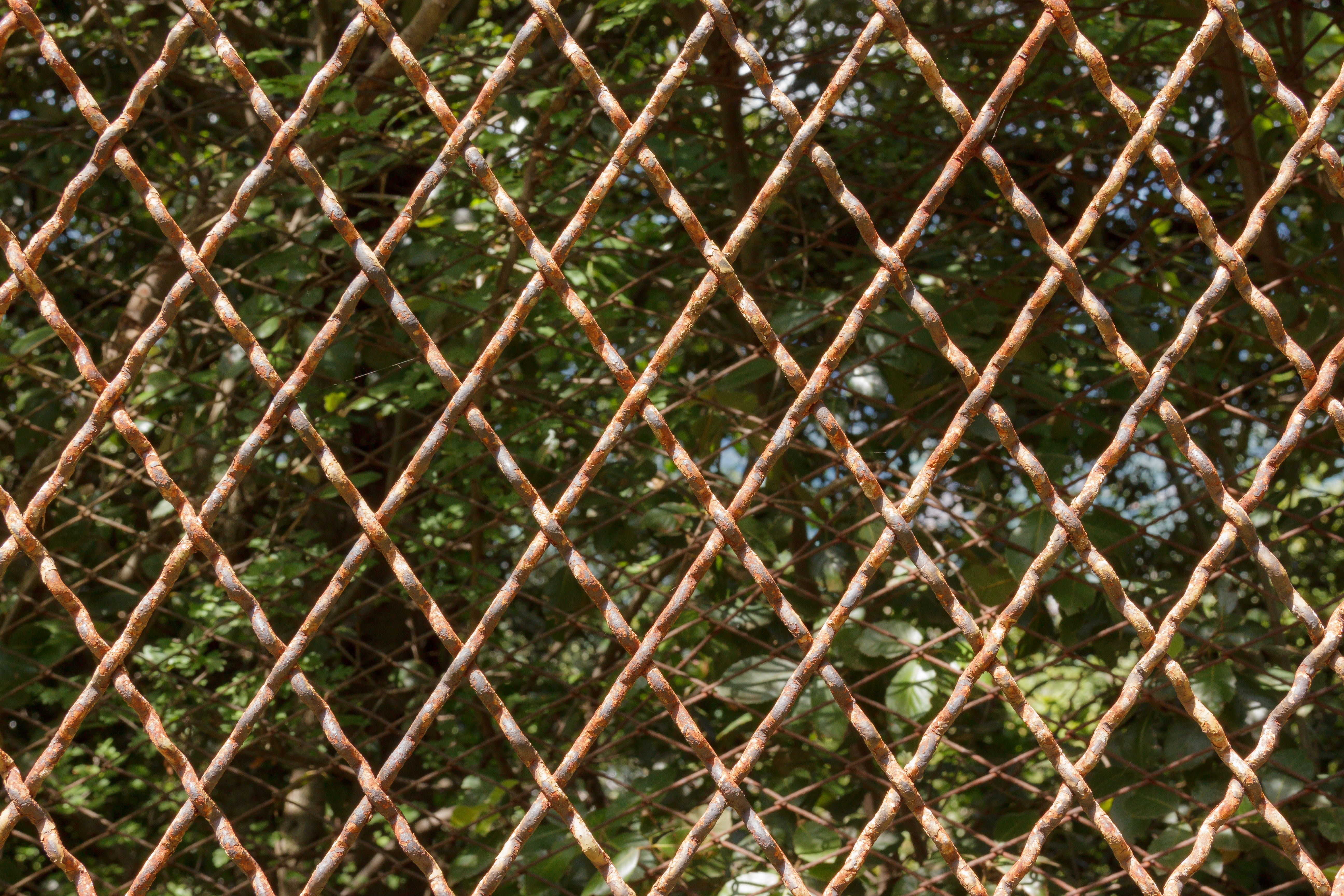 fence, pattern, diamond, background, structure, texture, wire mesh