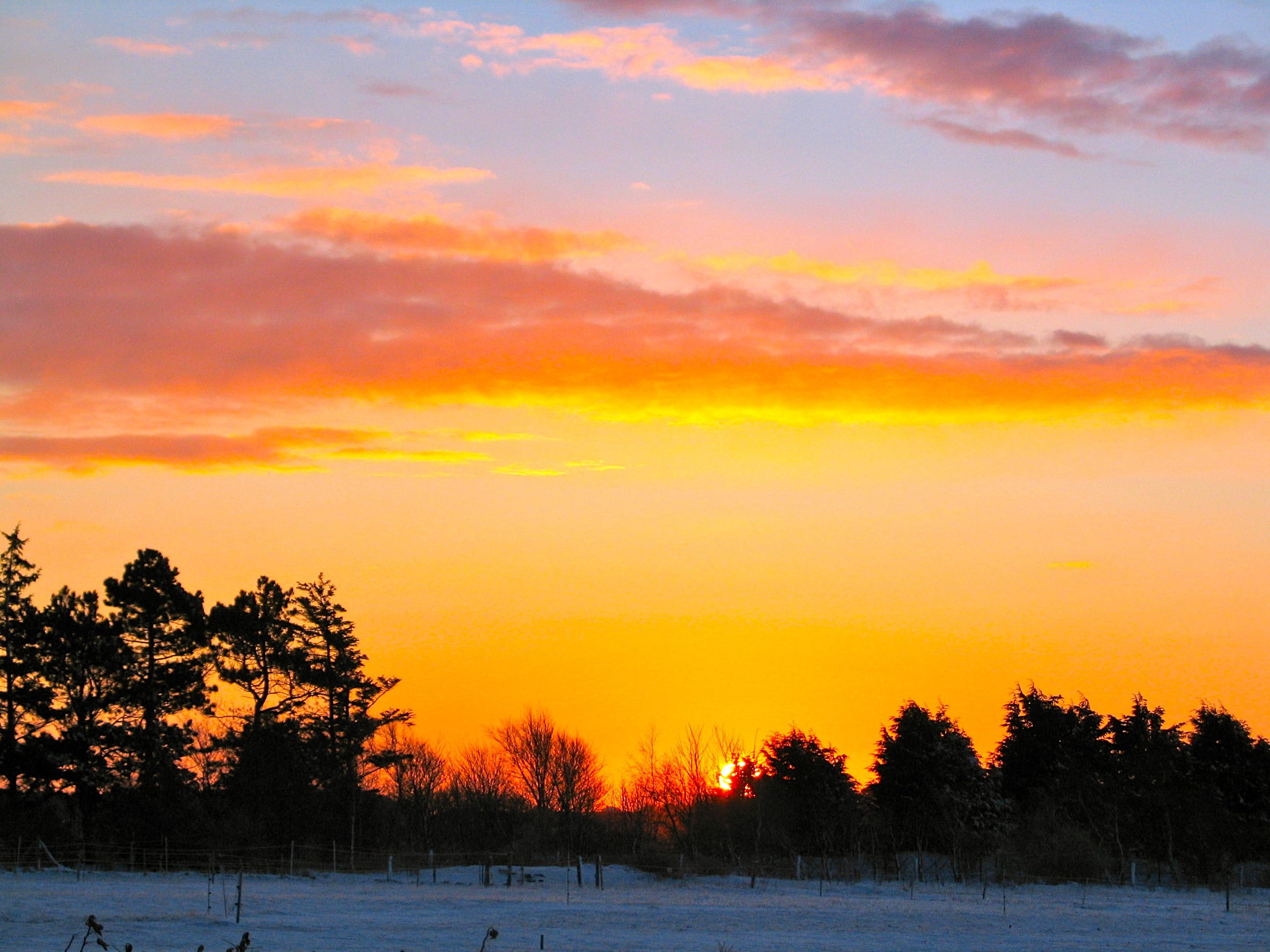 Sky, Clouds, Sun, sunset, winter, cold temperature, tree, nature