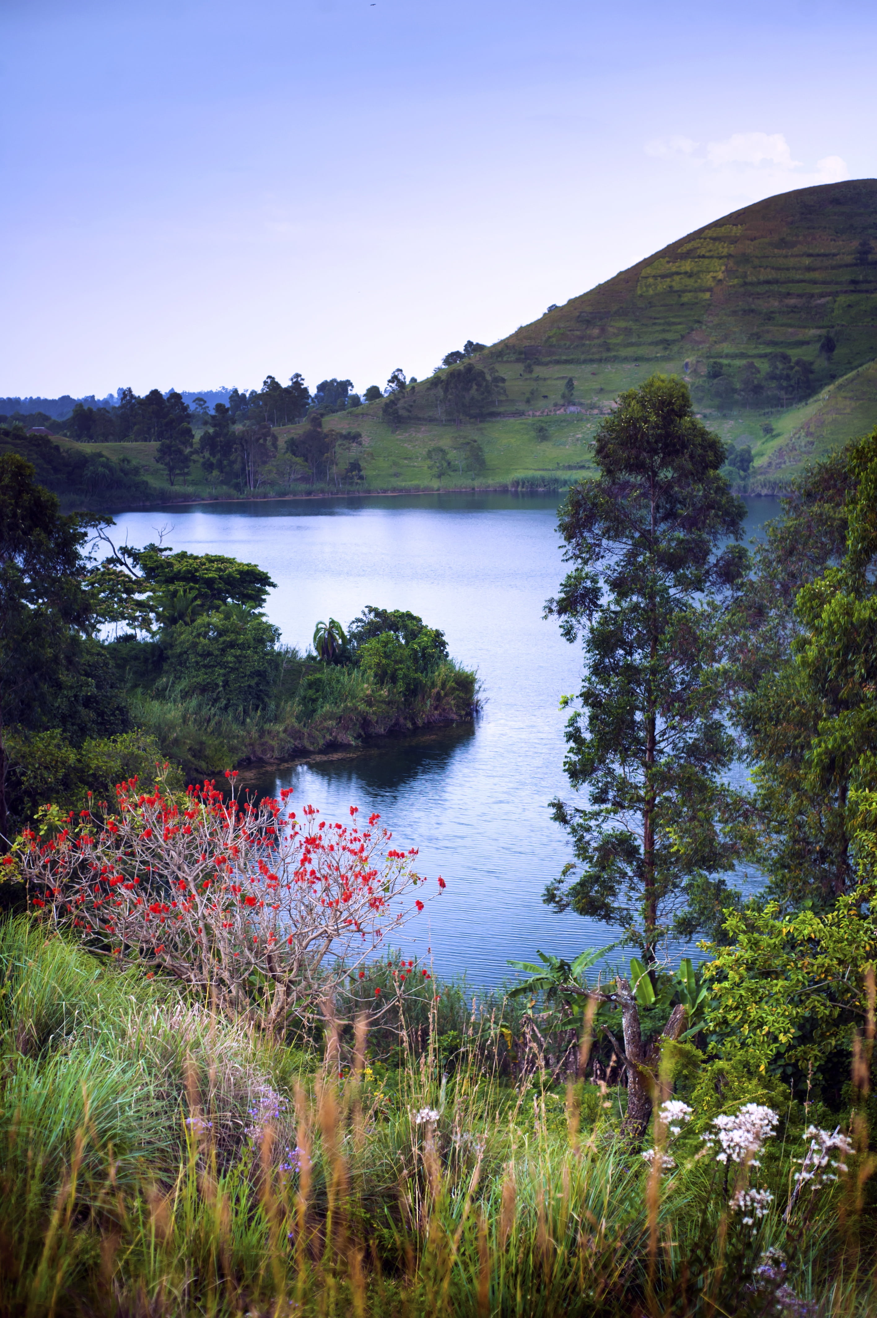 crater lake, fort portal, uganda, red flowers, foliage, green