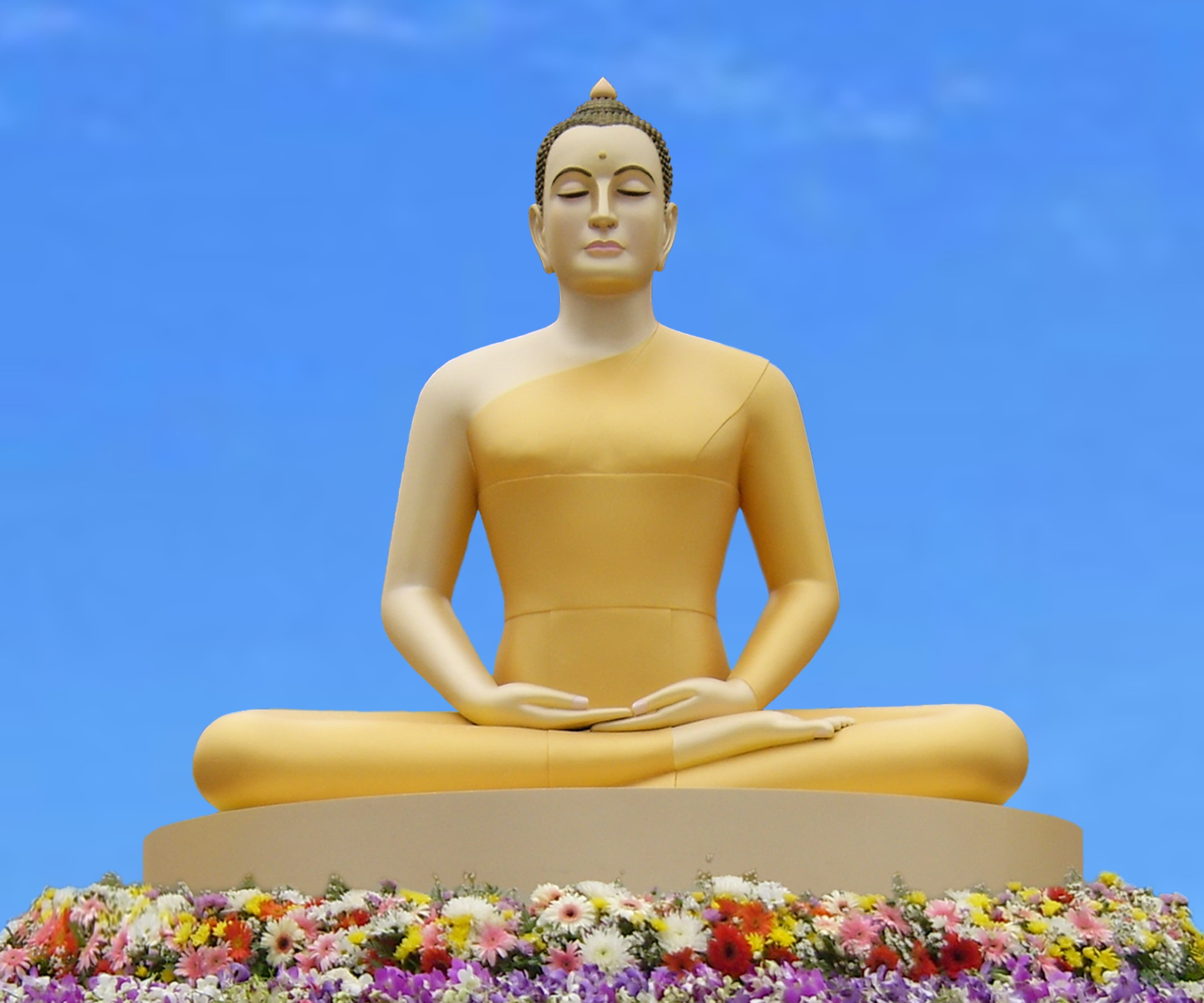 Dyhana Mudra statue surrounded with flowers, buddha, yoga, meditate