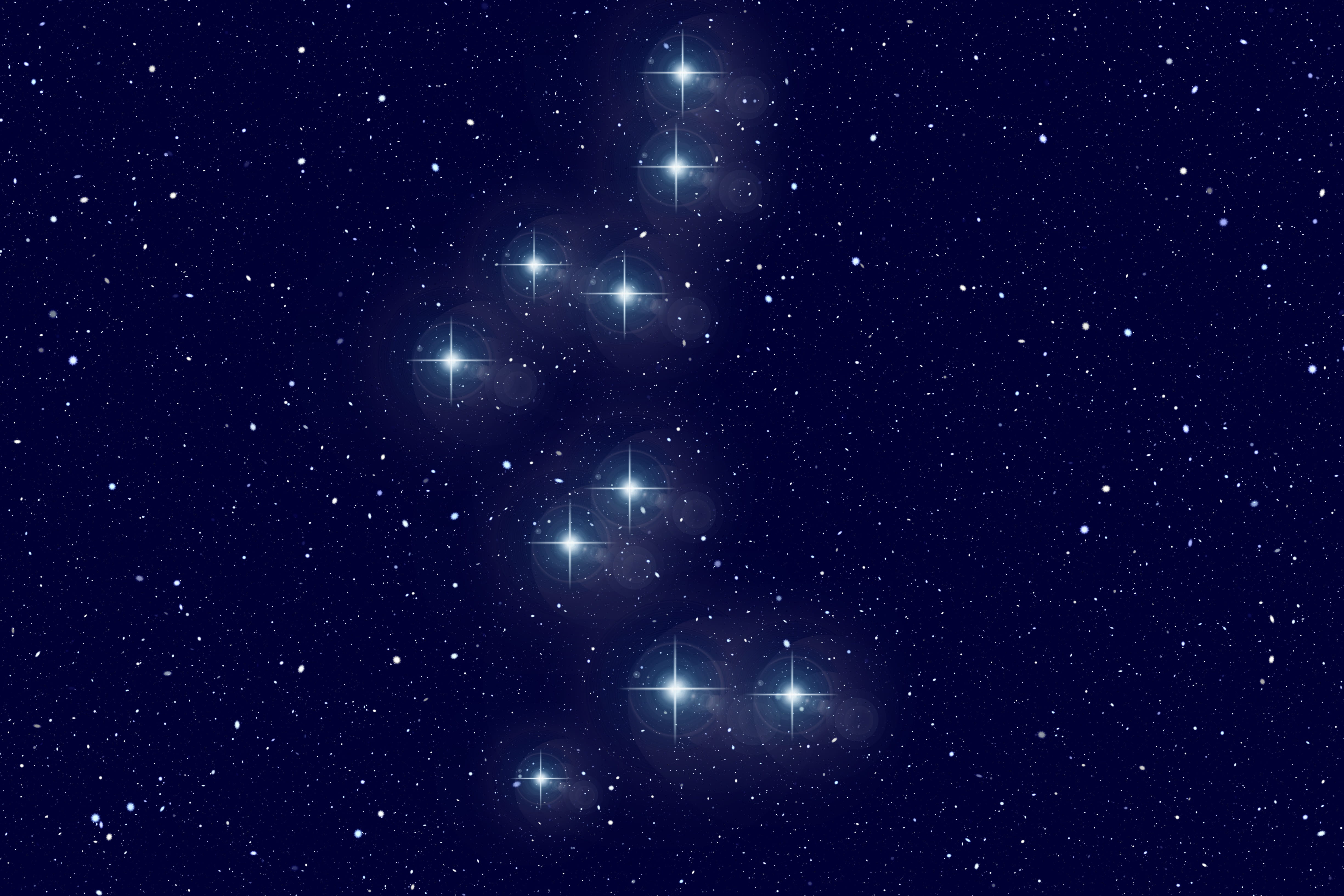white stars digital wallpaper, bear guardian, constellation, universe
