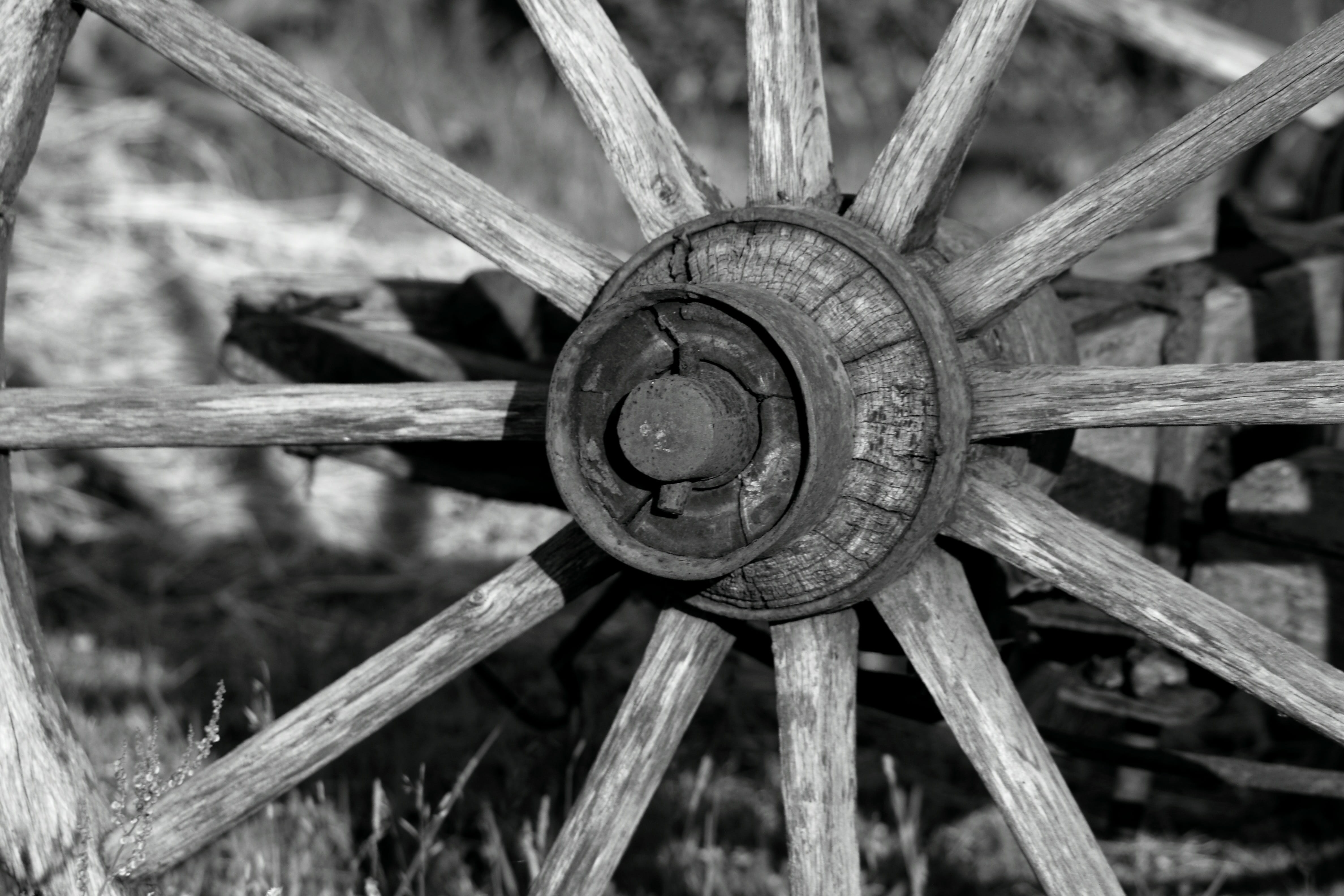 Free download | HD wallpaper: wheel, wood, team, wooden wheel