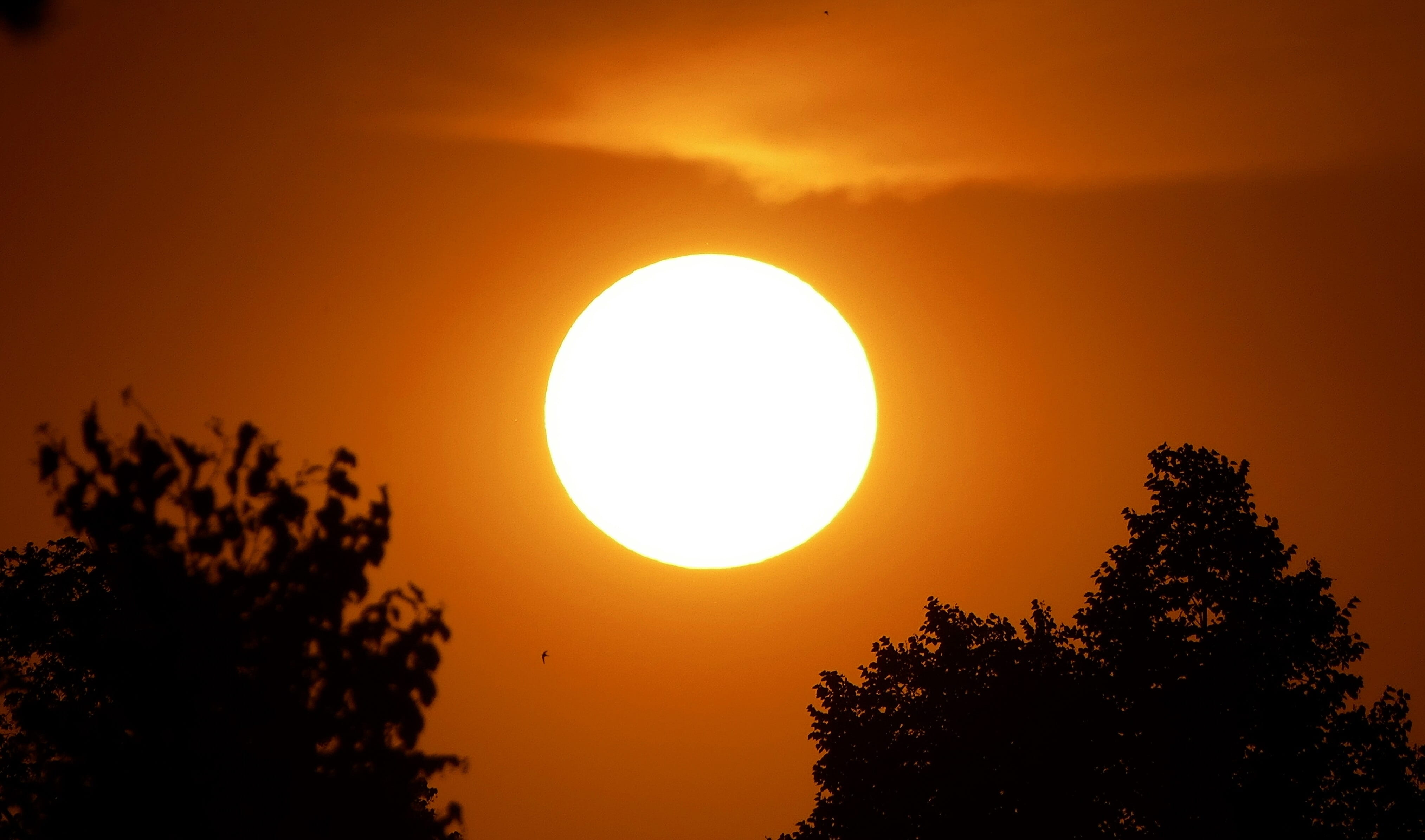 sunset, sky, evening, clouds, twilight, lighting, abendstimmung