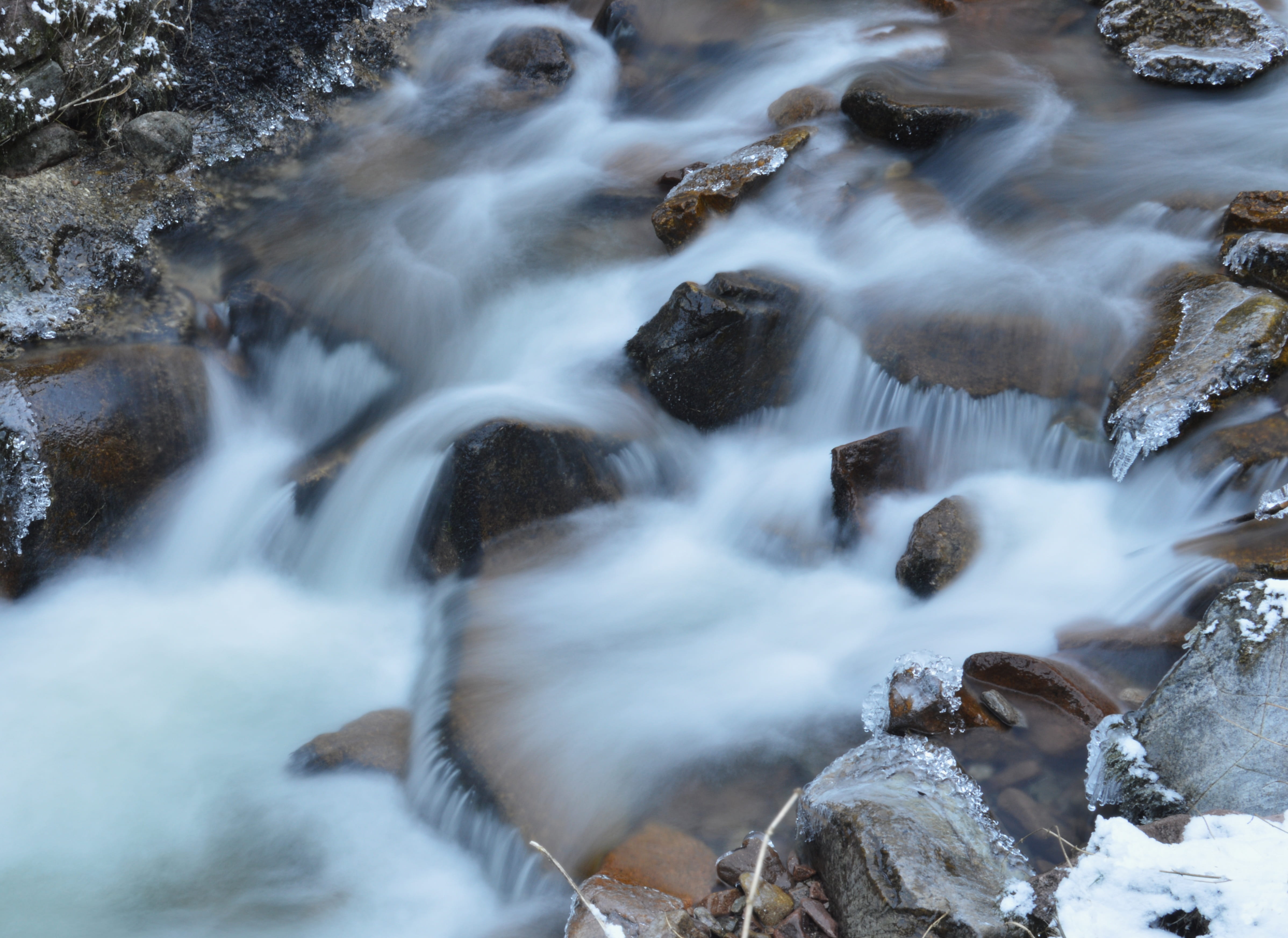 waters, bach, river, cold, nature, black forest, rock - object
