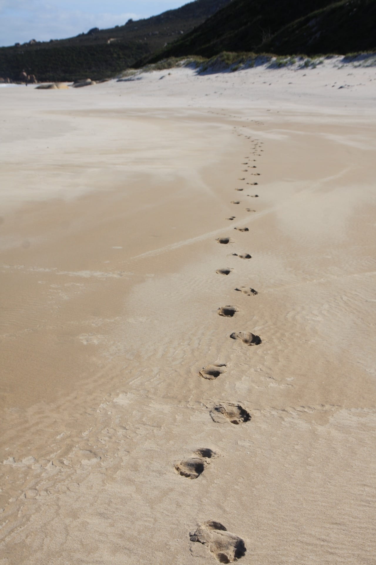 Footprints, Beach, Tracks, walking, marks, sand, footstep, trail