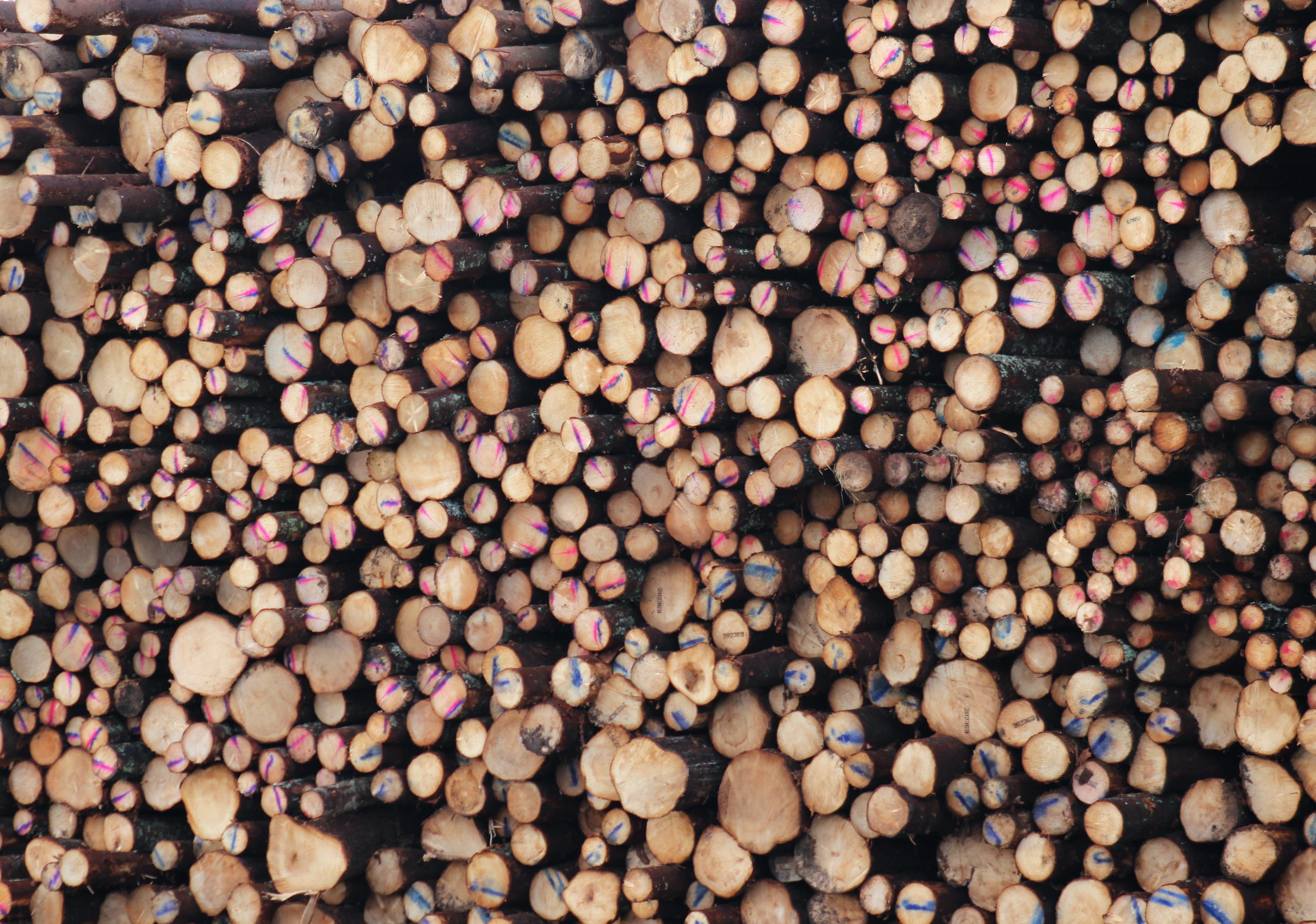 logs, wood, lumber, timber, pattern, stack, full frame, backgrounds