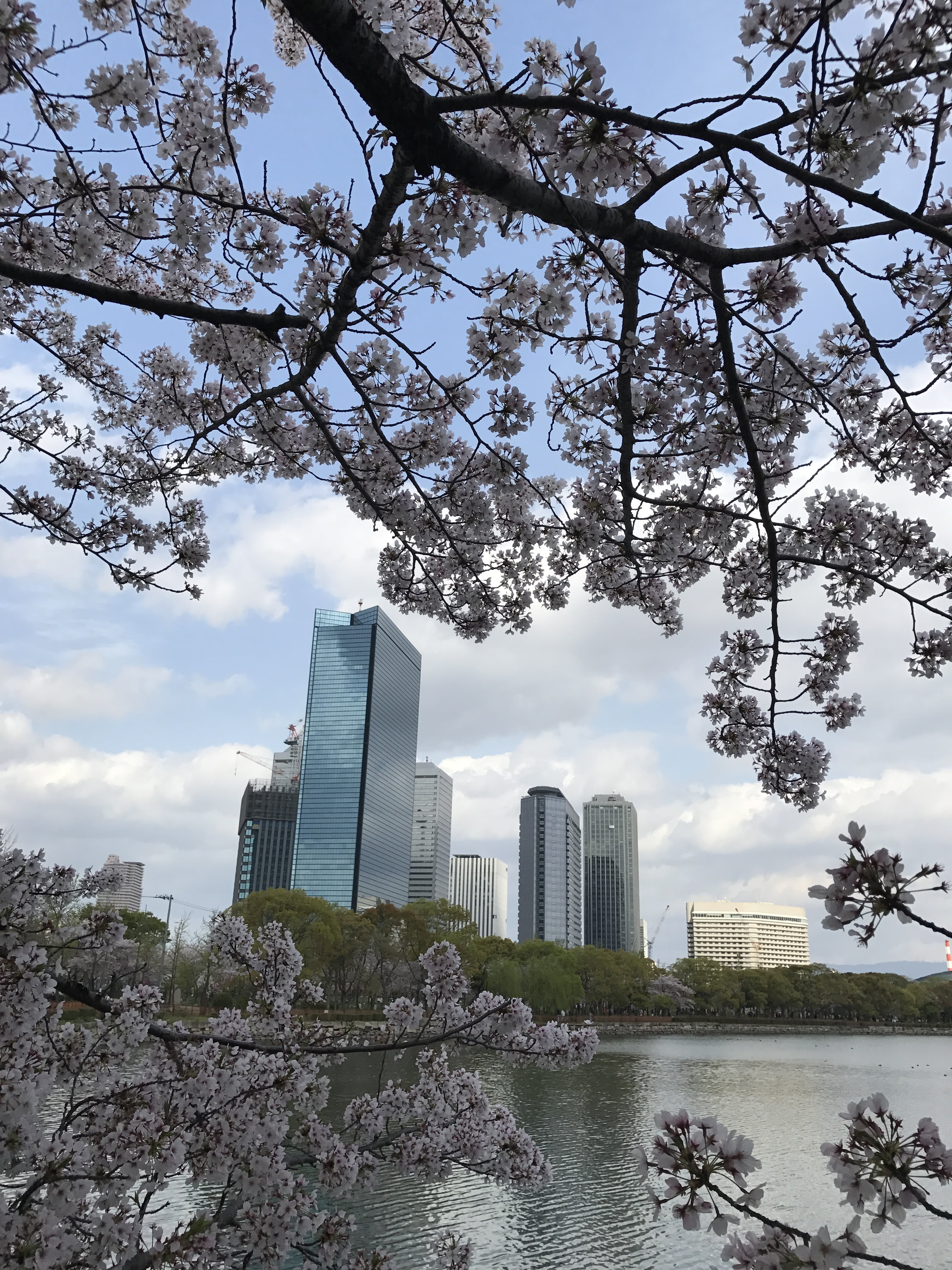 river, cherry, bill, architecture, built structure, building exterior