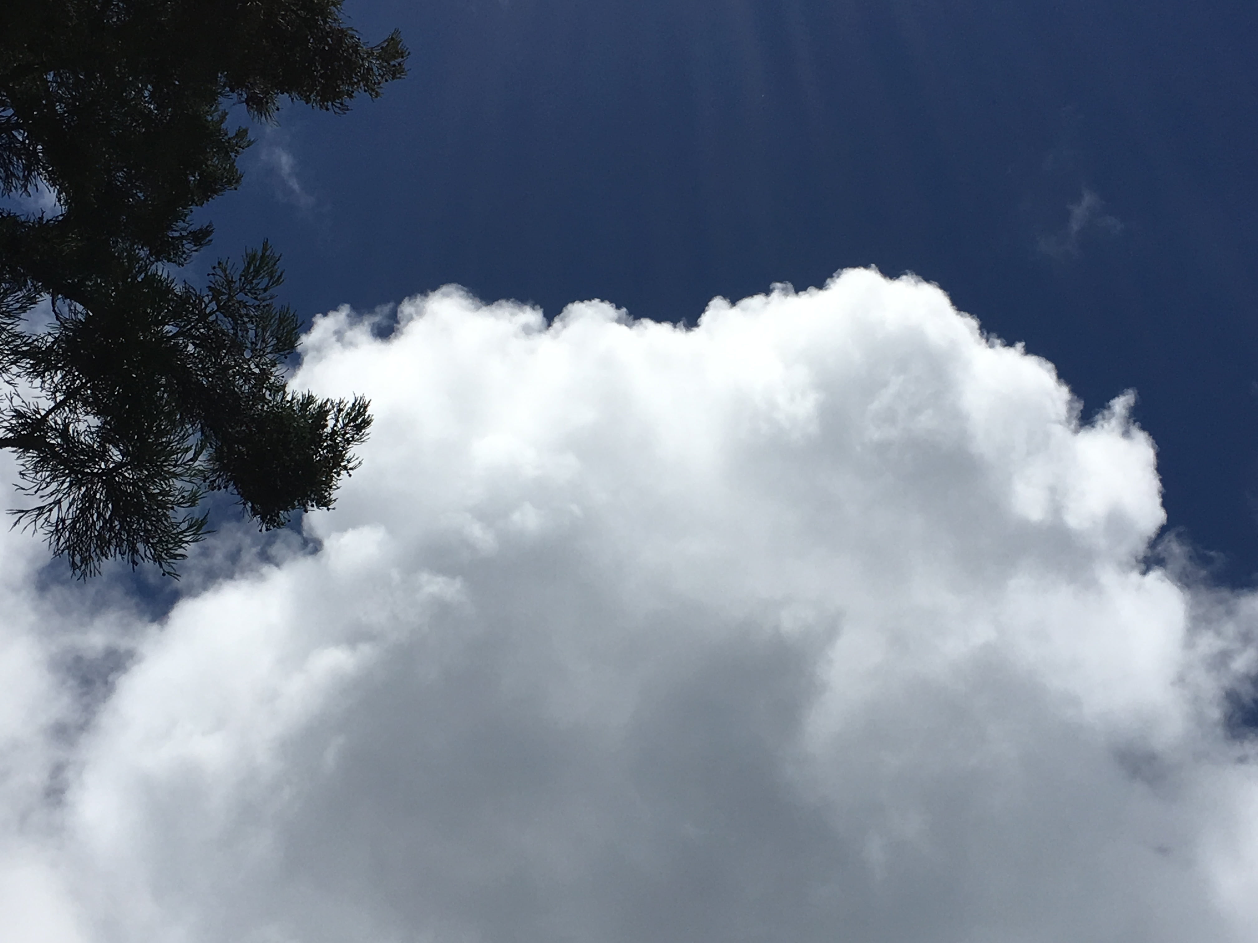 white cloud, blue sky, nature, cloud - sky, low angle view