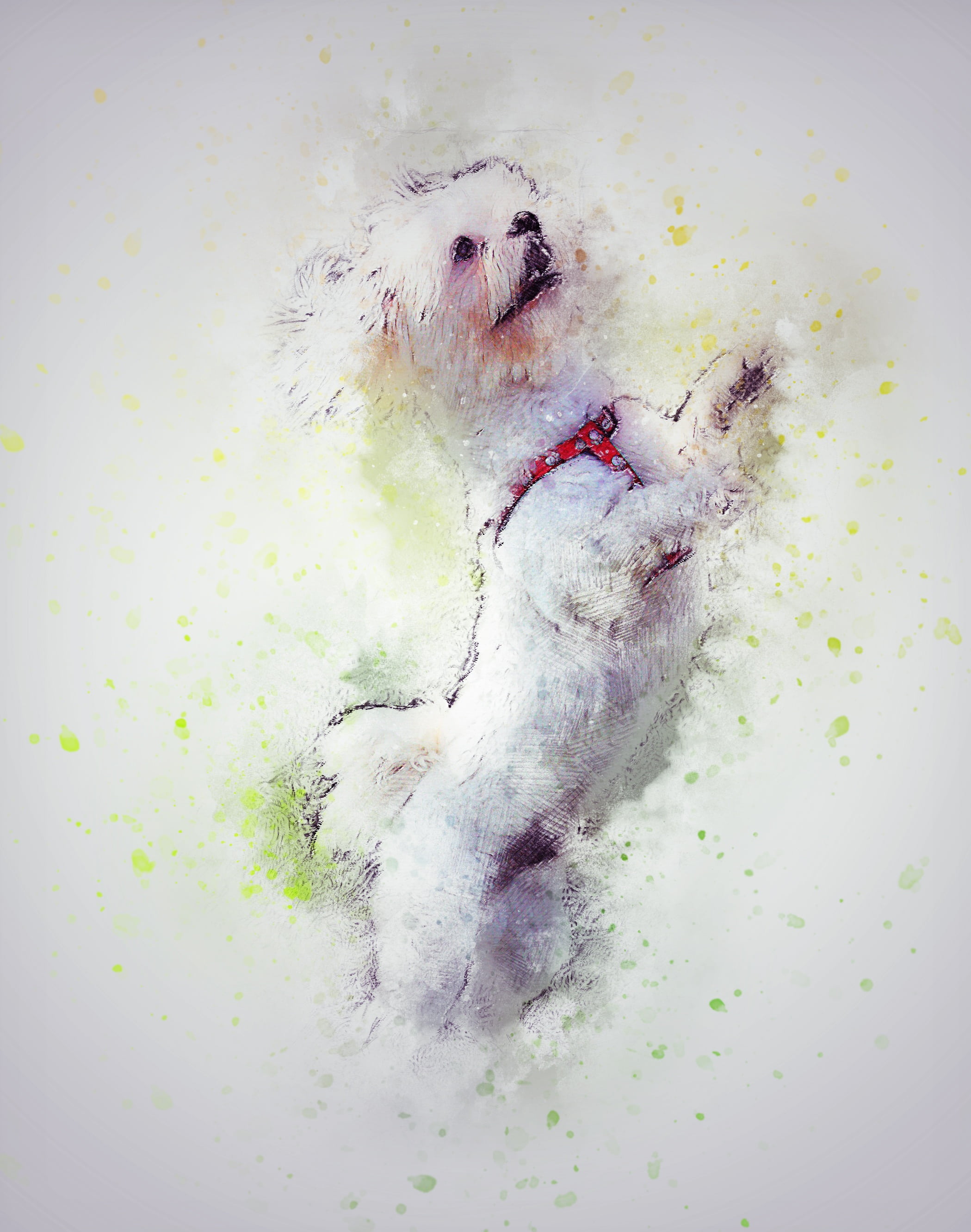 white dog painting, pet, art, abstract, watercolor, vintage, artistic