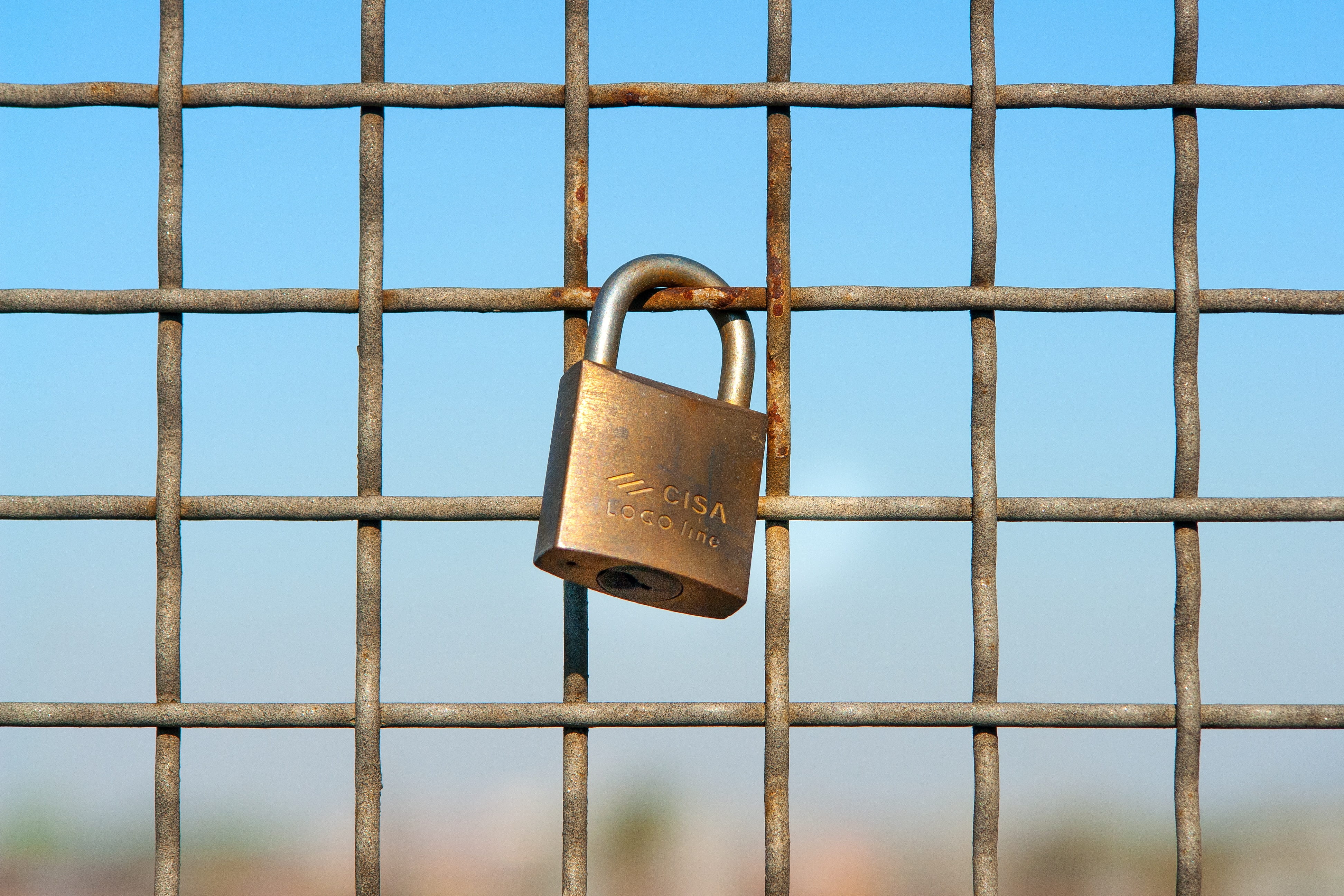 brass-colored Cisa padlock on metal grill, love, one, rusty, iron