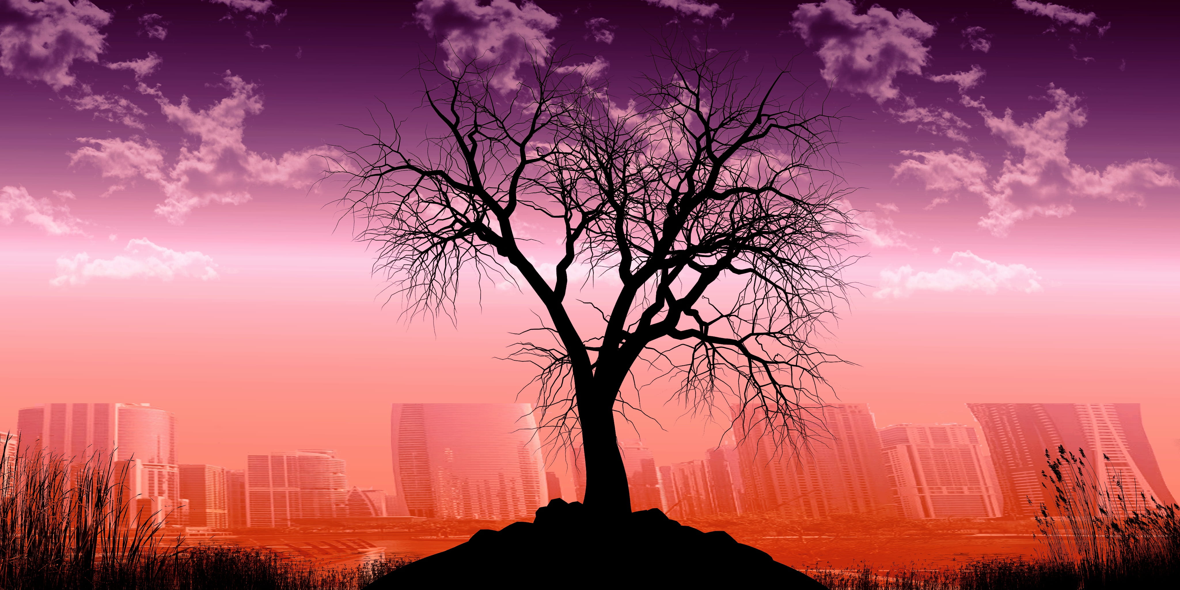 tree, nature, landscape, old tree, silhouette, clouds, grass