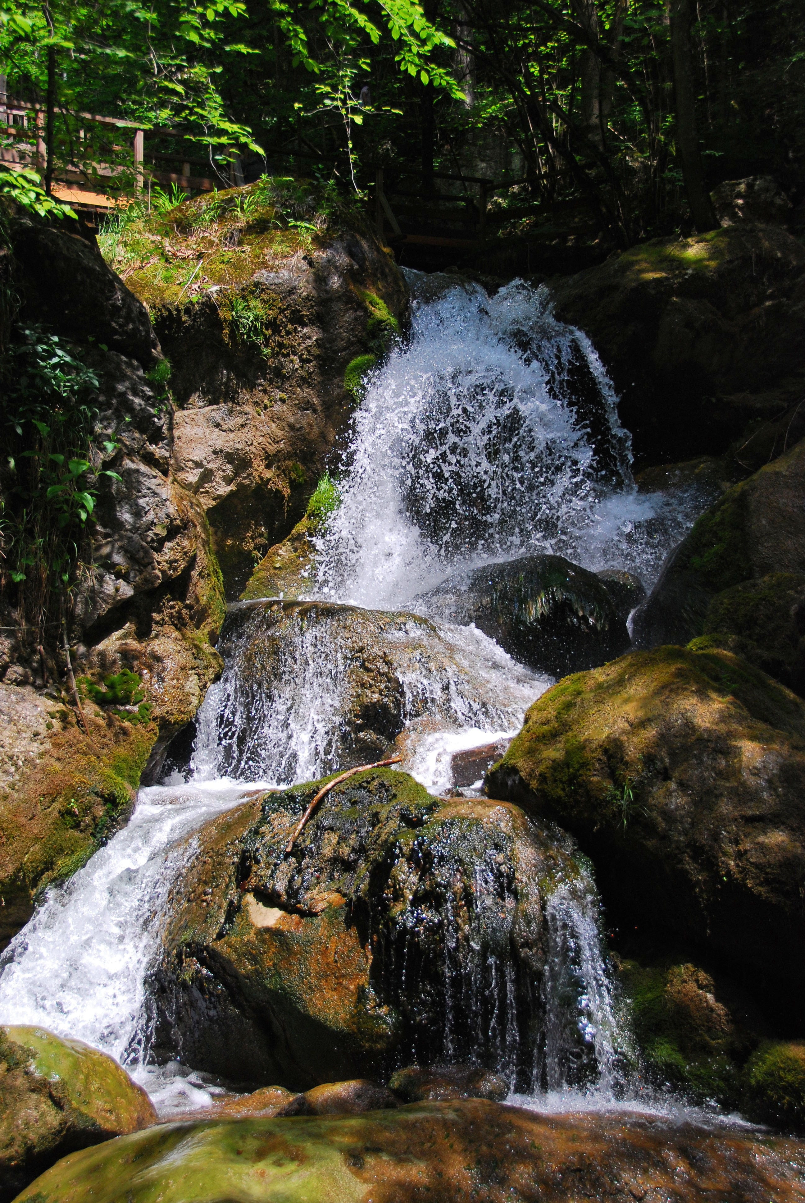 waterfall, myra cases, lower austria, nature, forest, river