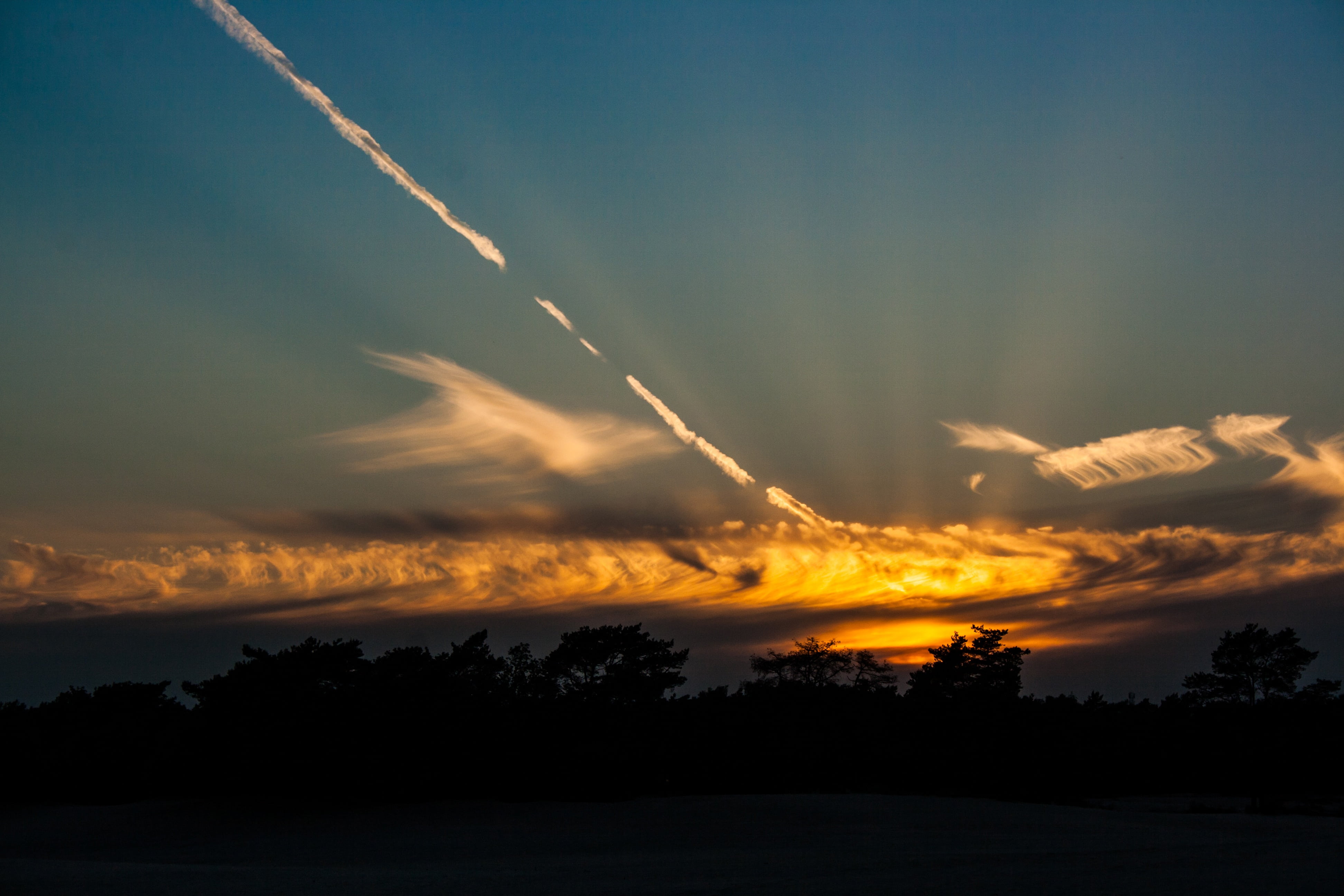 sunset, clouds, evening, heaven, trees, nature, soester dunes