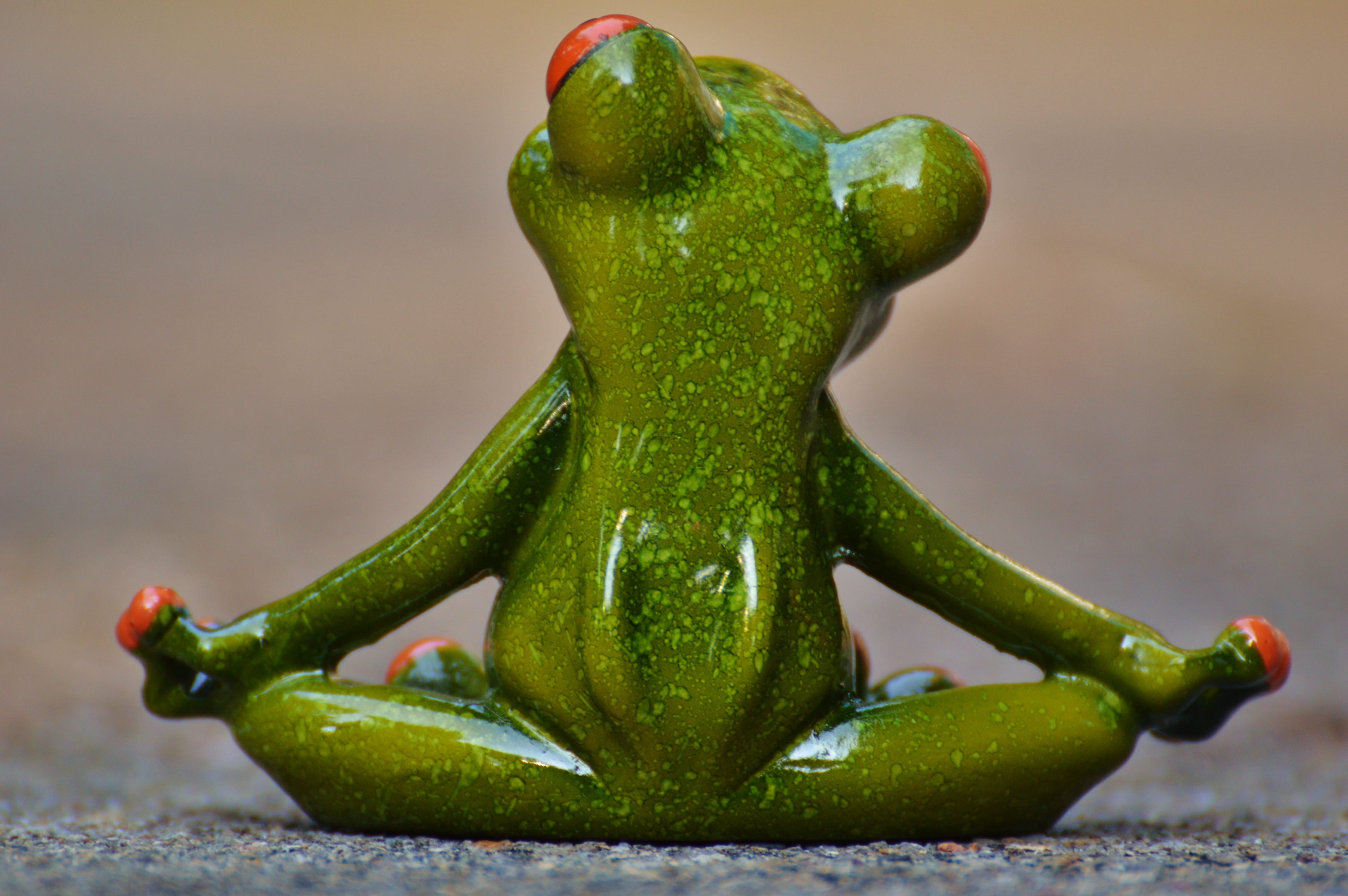 Free Download Hd Wallpaper Red Eyed Tree Frog Yoga Relaxed Figure
