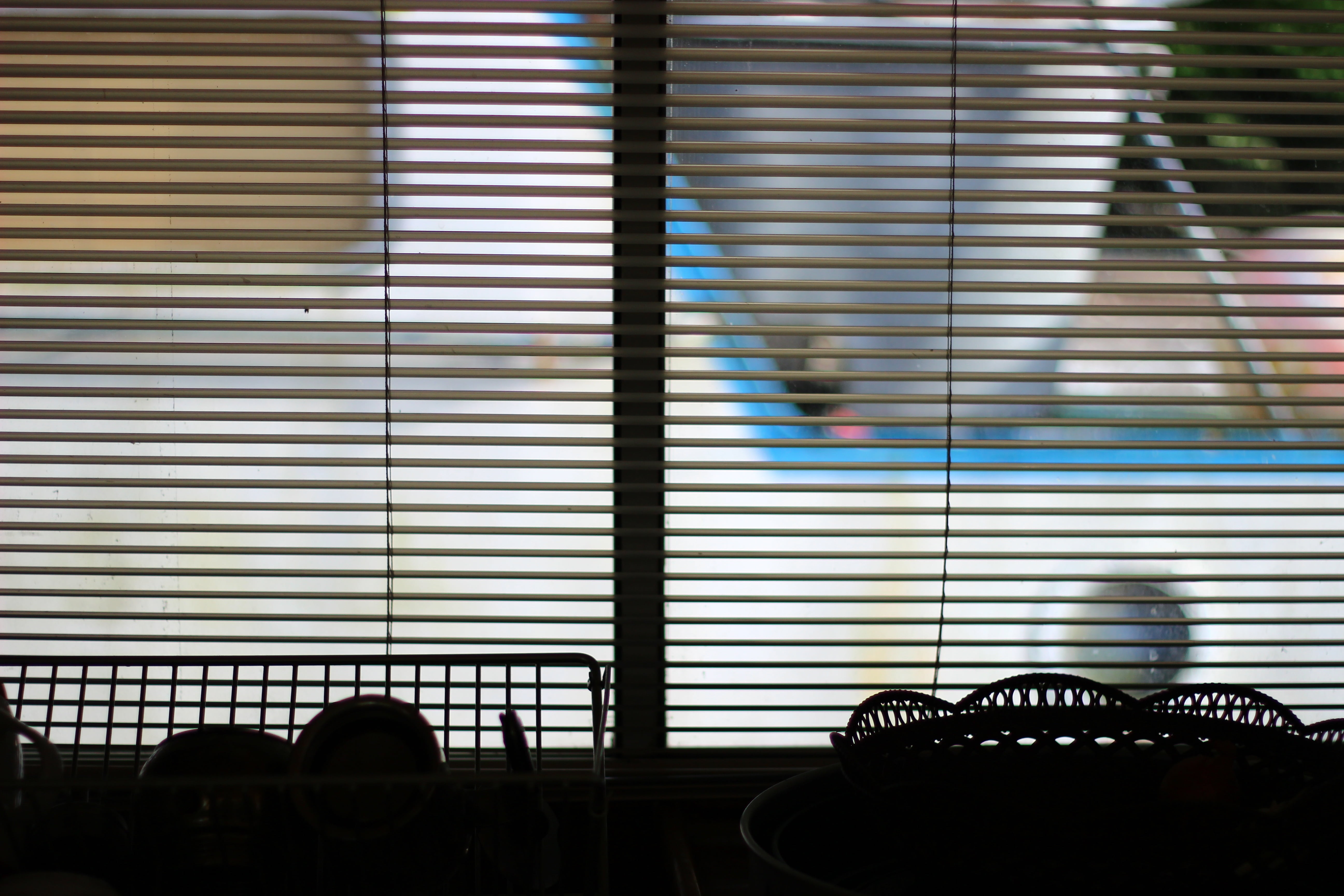 blind, shade, window, indoor, texture, pattern, horizontal