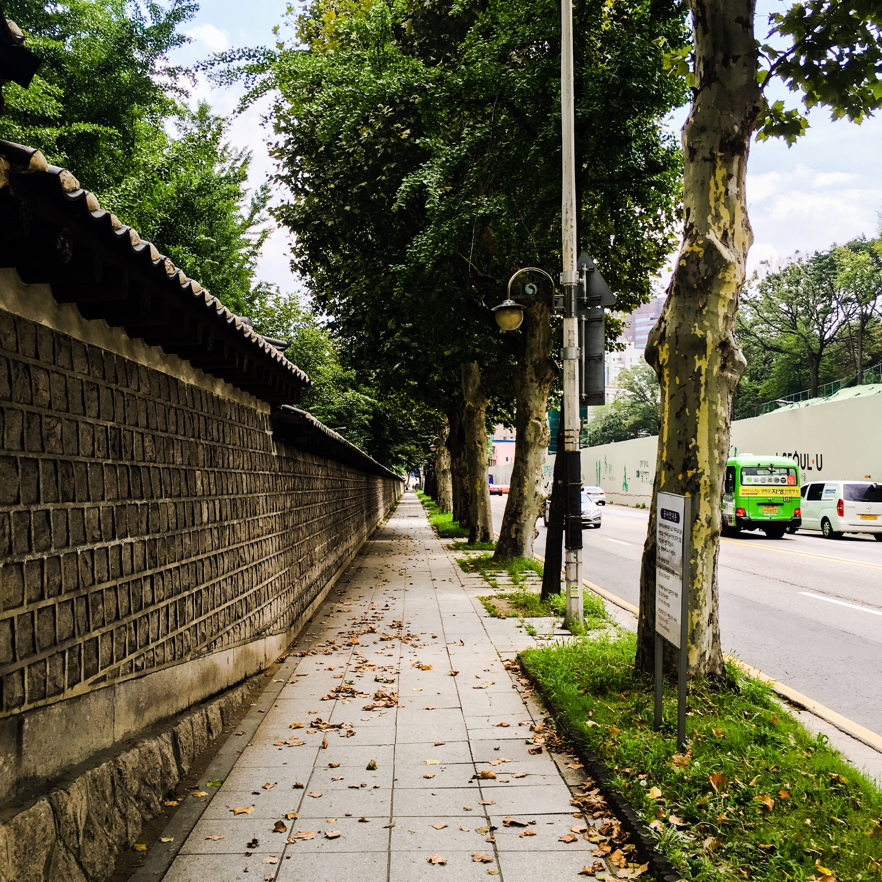gil, wall, break, walk, tree, plant, architecture, built structure