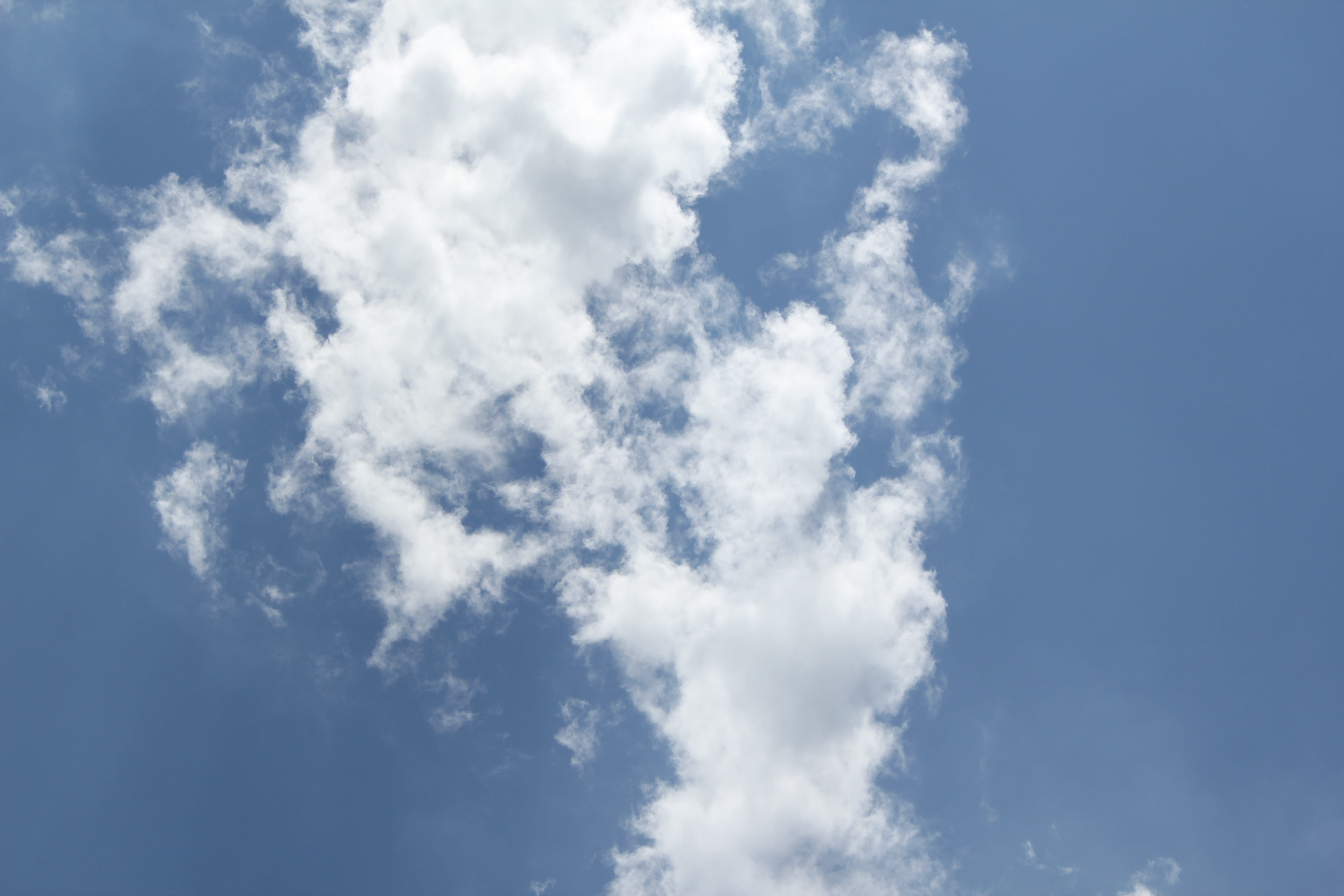 green, sky, white cloud, cloud - sky, blue, white color, backgrounds