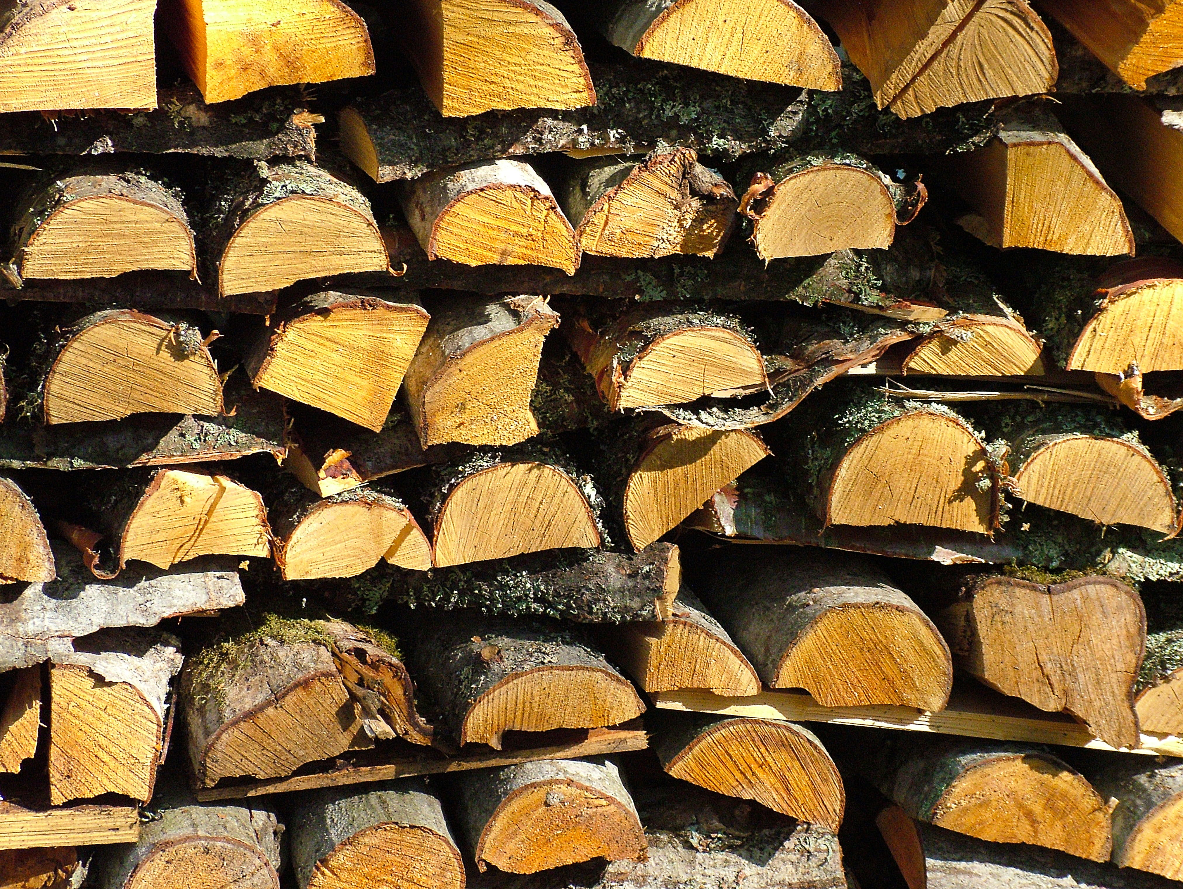 firewood, stack, tree, split, log, full frame, backgrounds