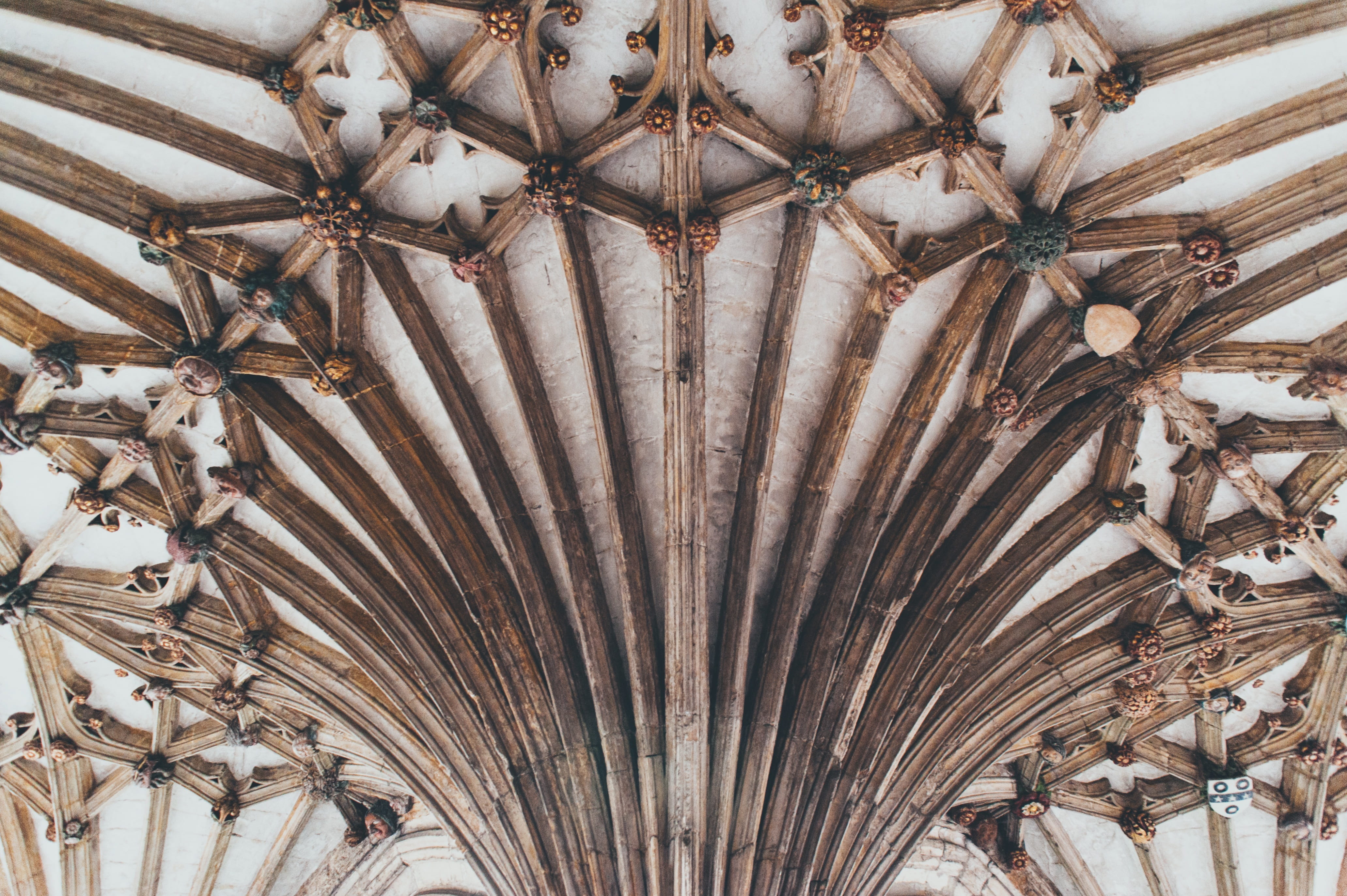 ceiling, architecture, art, design, pattern, no people, full frame