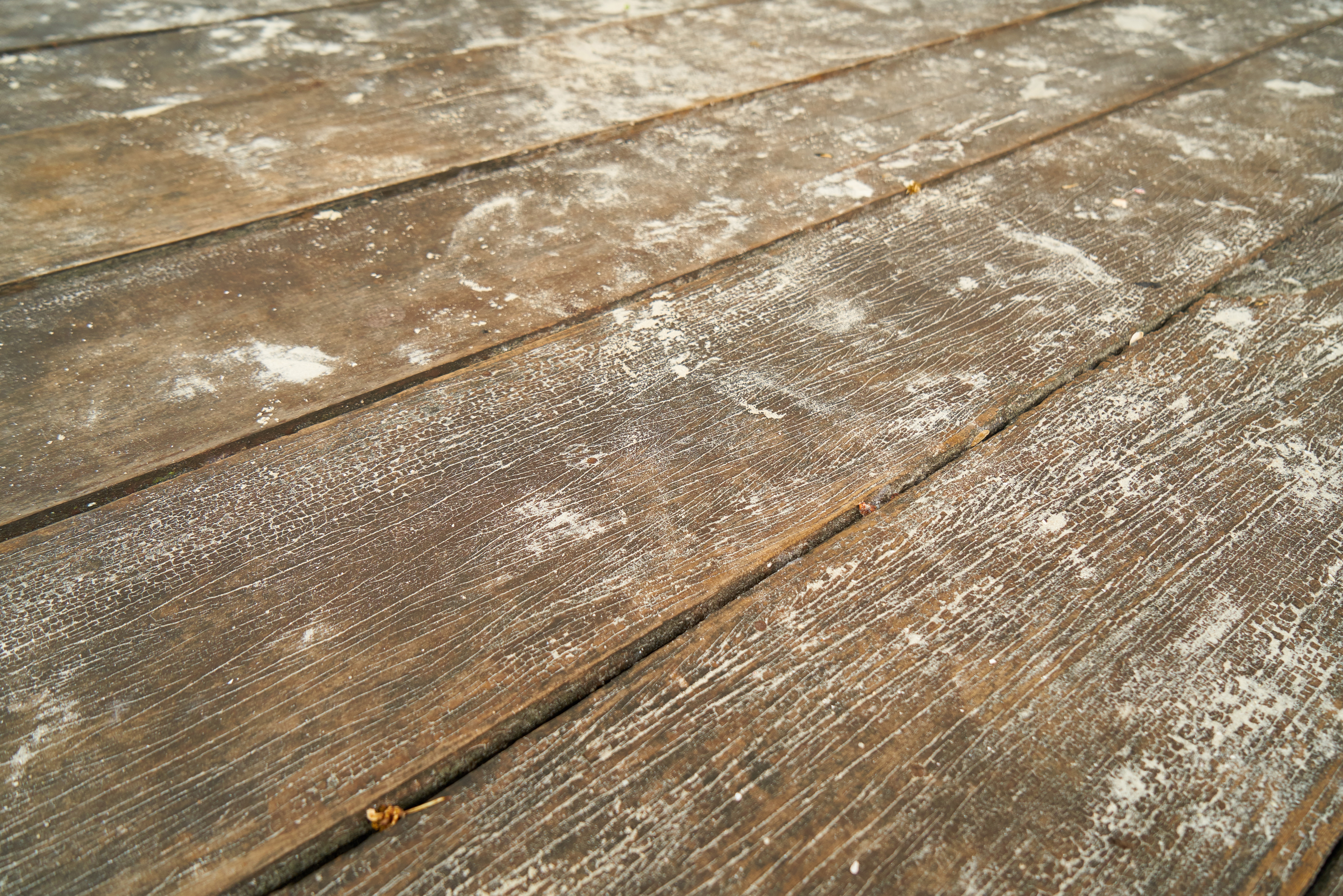wood, tree, abstract, pattern, abstract pattern, nobody, macro