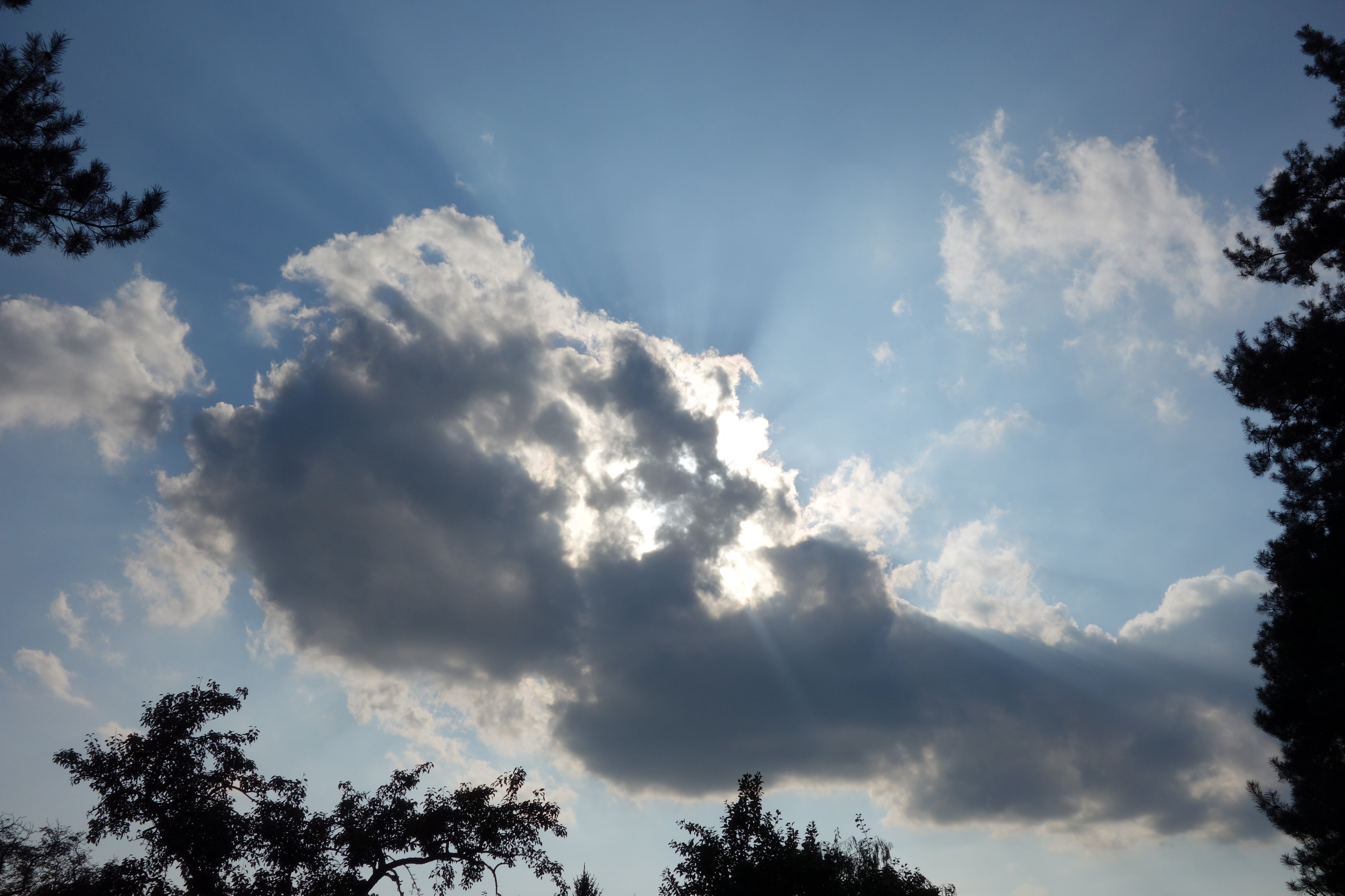 cloud, thunderstorm, cumulus, cloud formation, sky, cloud - sky