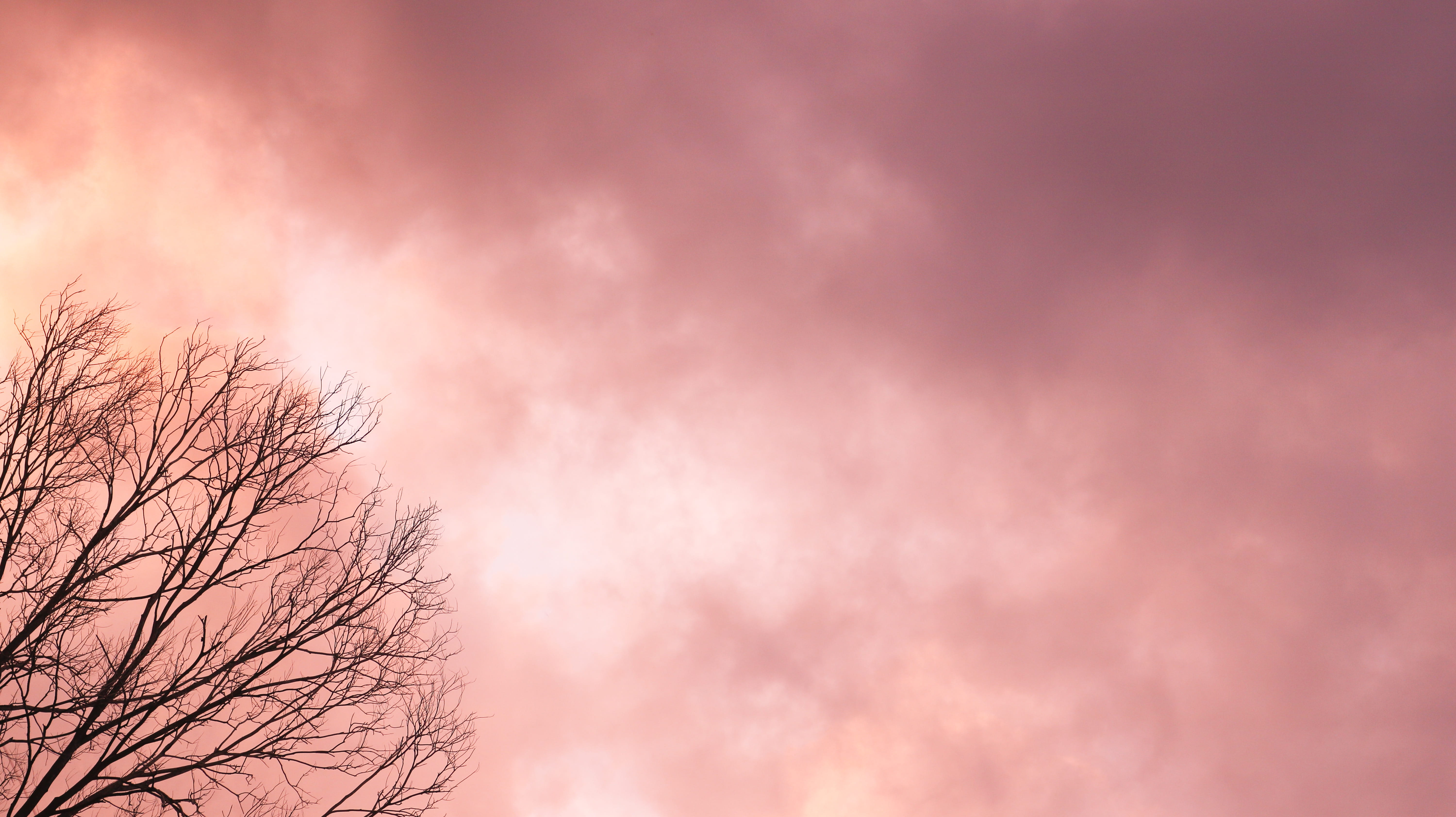 Sunset, Clouds, Sundown, Sunlight, Tree, sunset clouds, sky