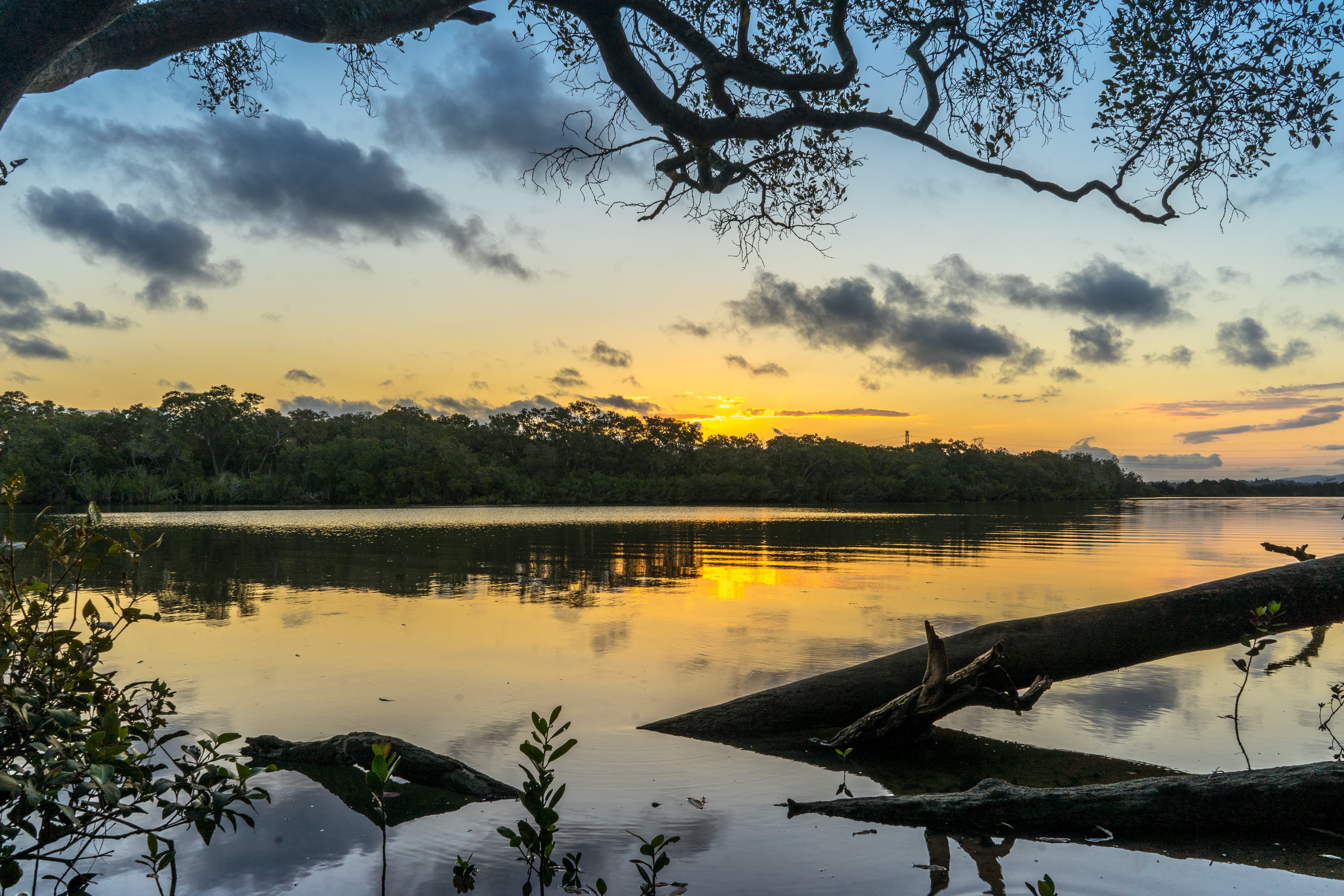 landscape, river, sunset, trees, reflection, nature, scene