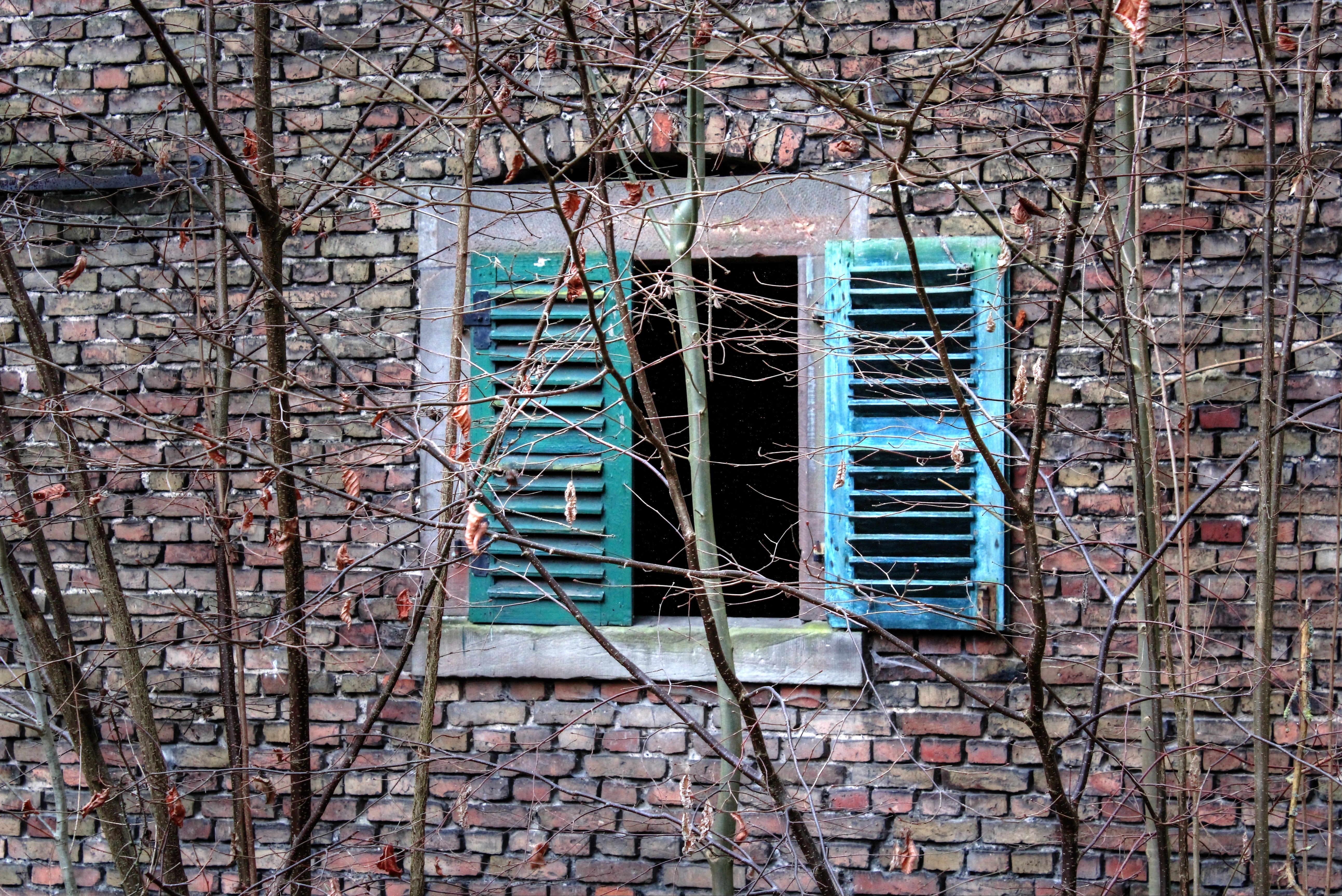 window, wall, shutter, bricks, old, built structure, building exterior