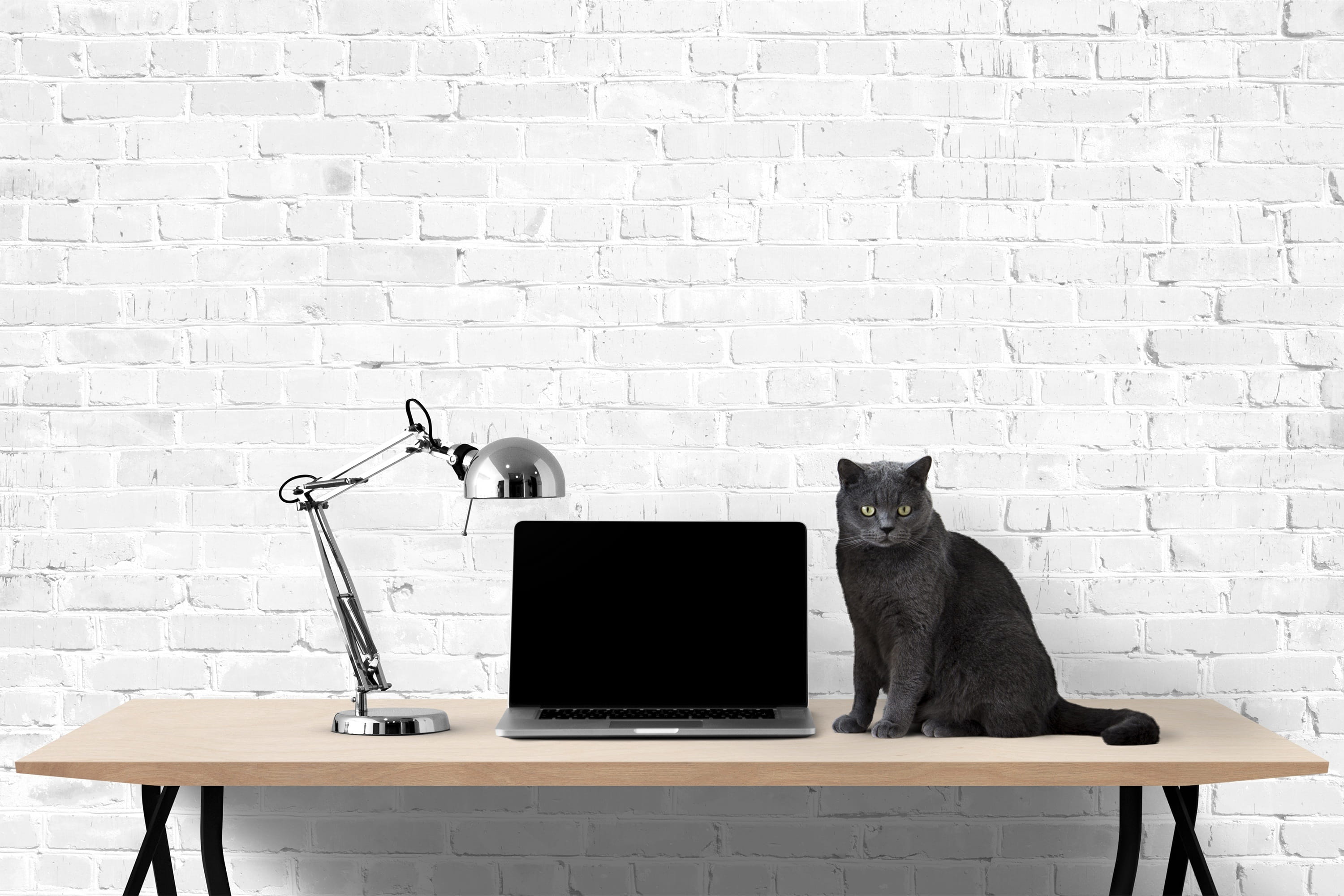 laptop, interior, desk, computer, notebook, technology, communication