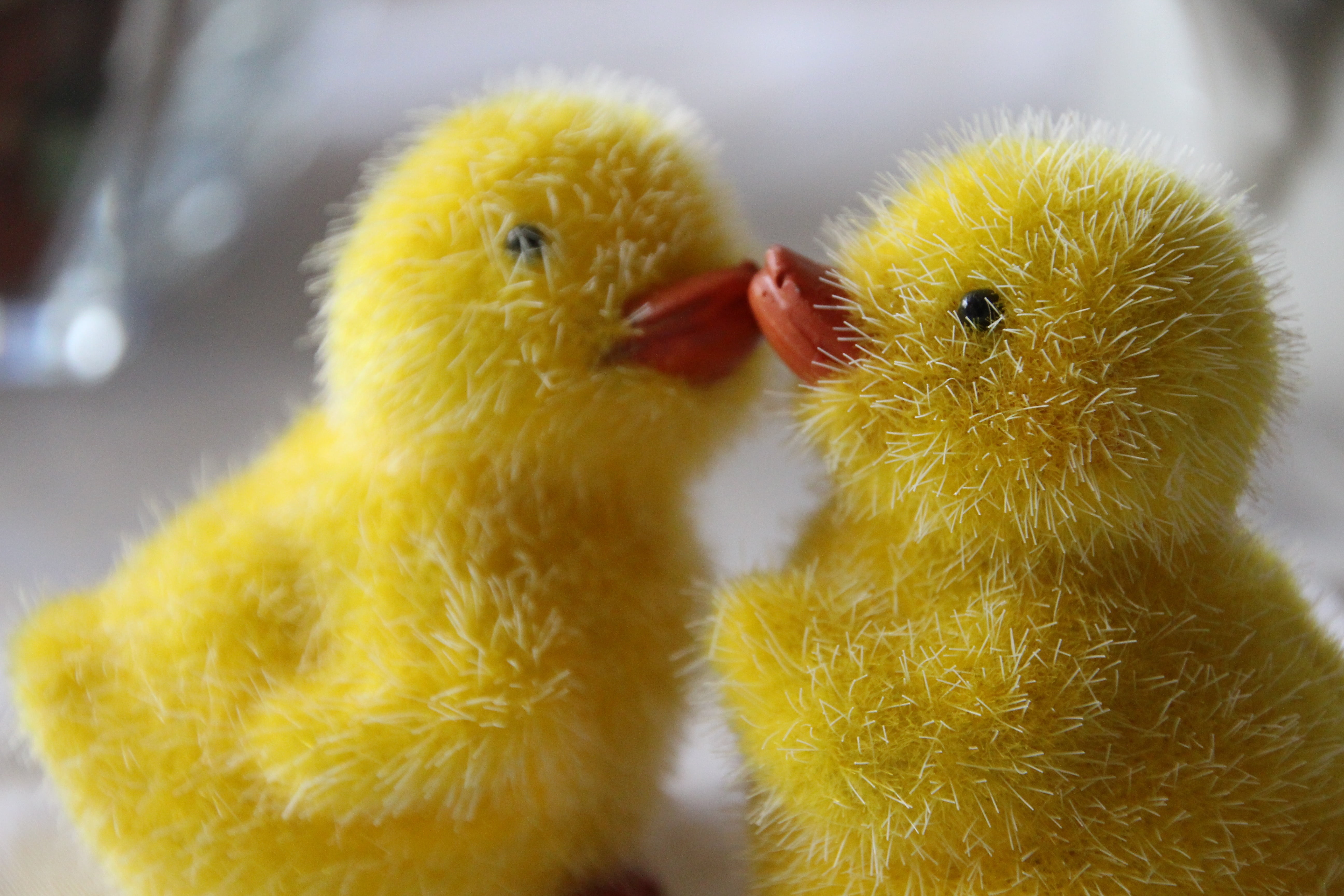 easter, easter chick, funny, animal, small, bird, nature, cute