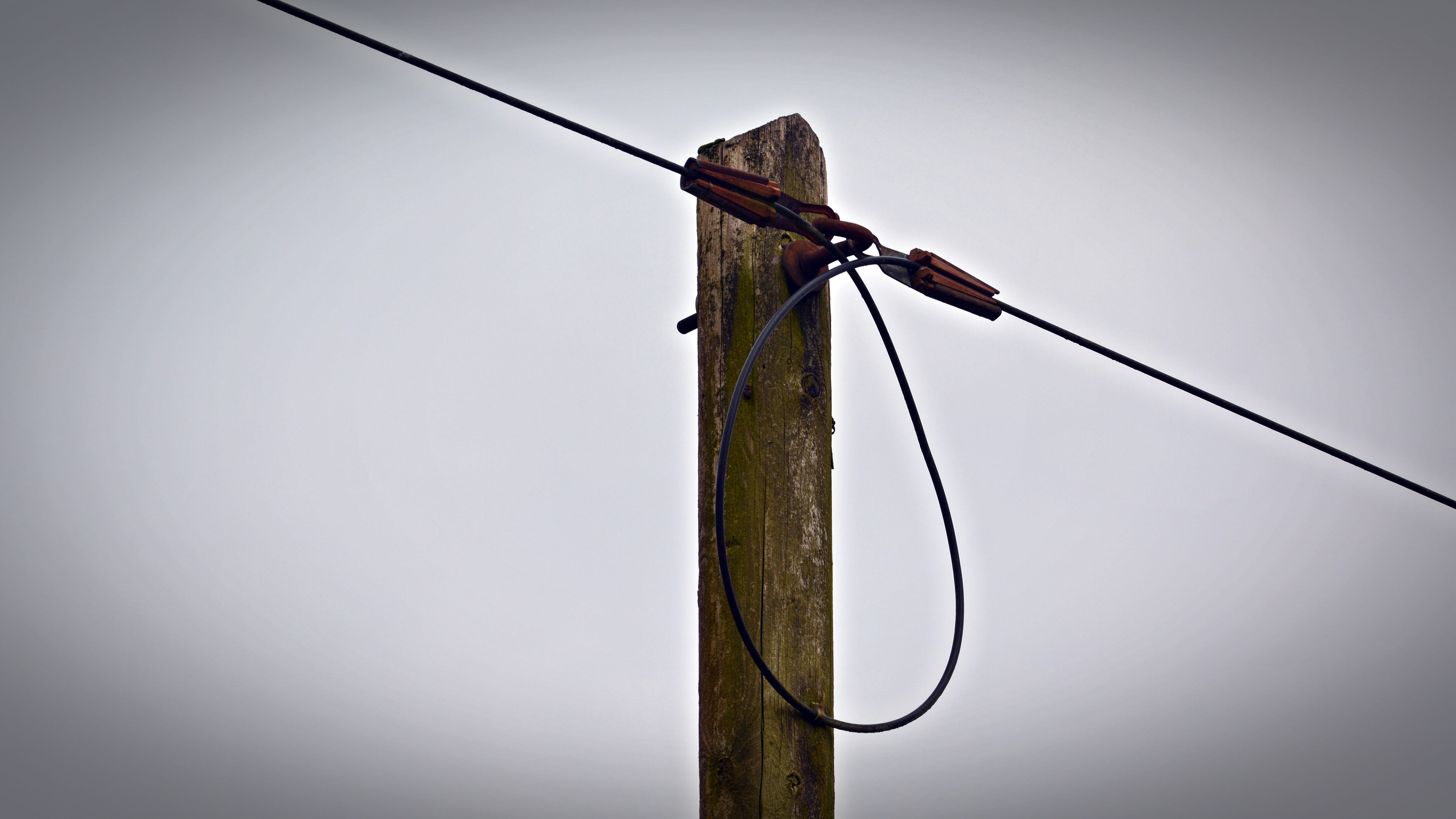 telephone pole, wire, cable, landline, telephone line, grid expansion