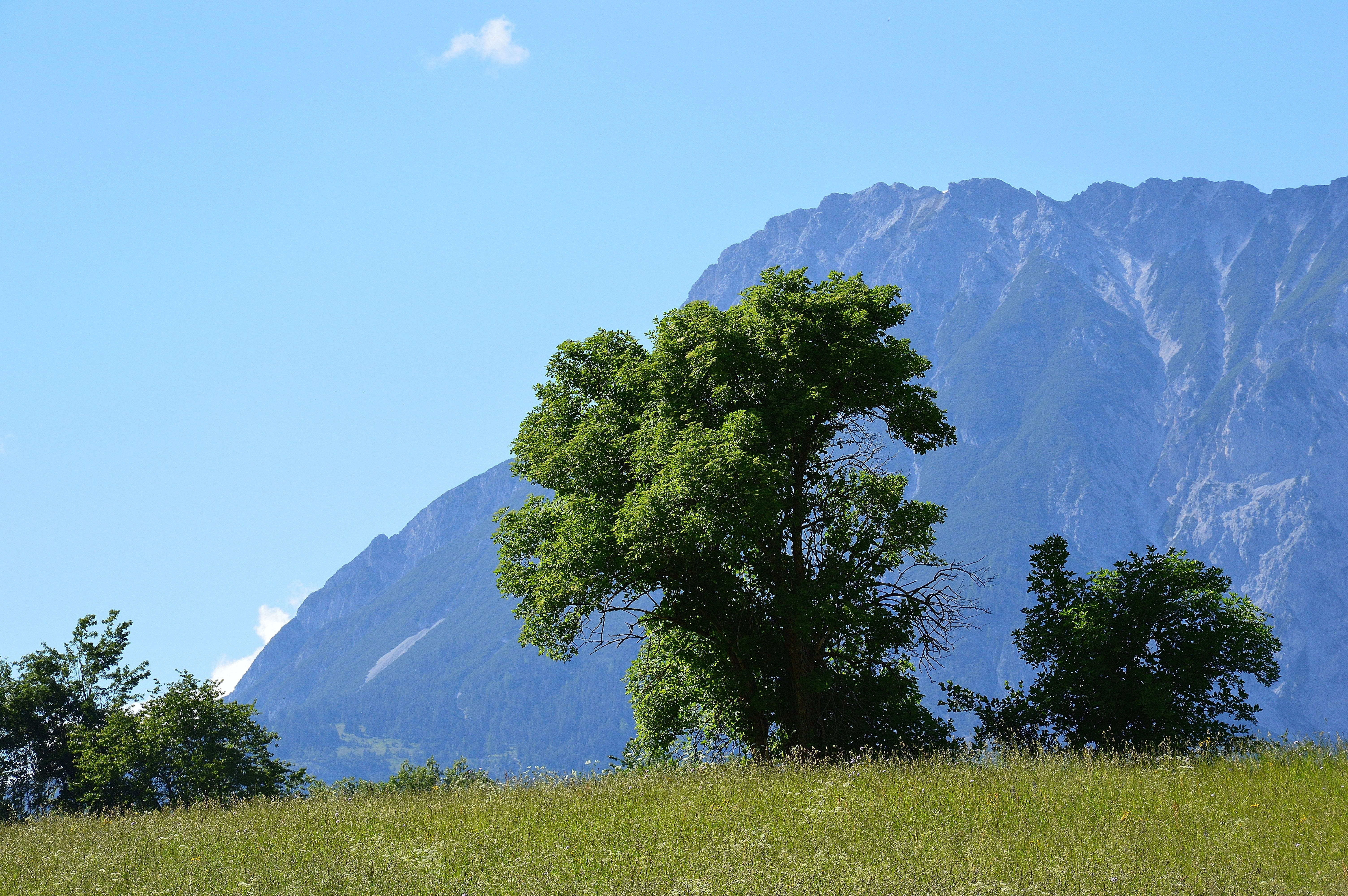 sautens, mountains, alpine, view, alm, oetztal, nature, austria