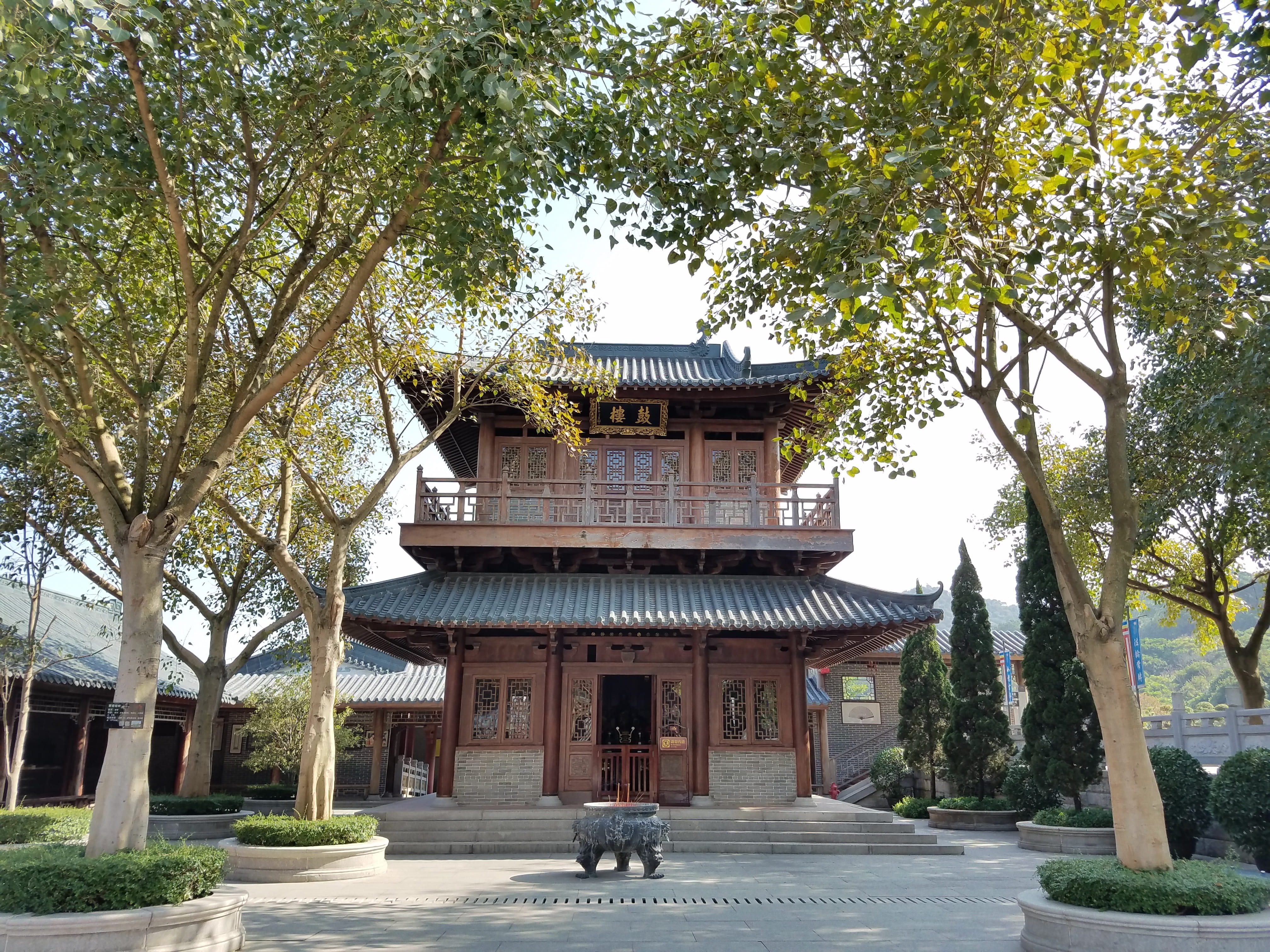 temple, be quiet, ancient, tree, plant, built structure, architecture