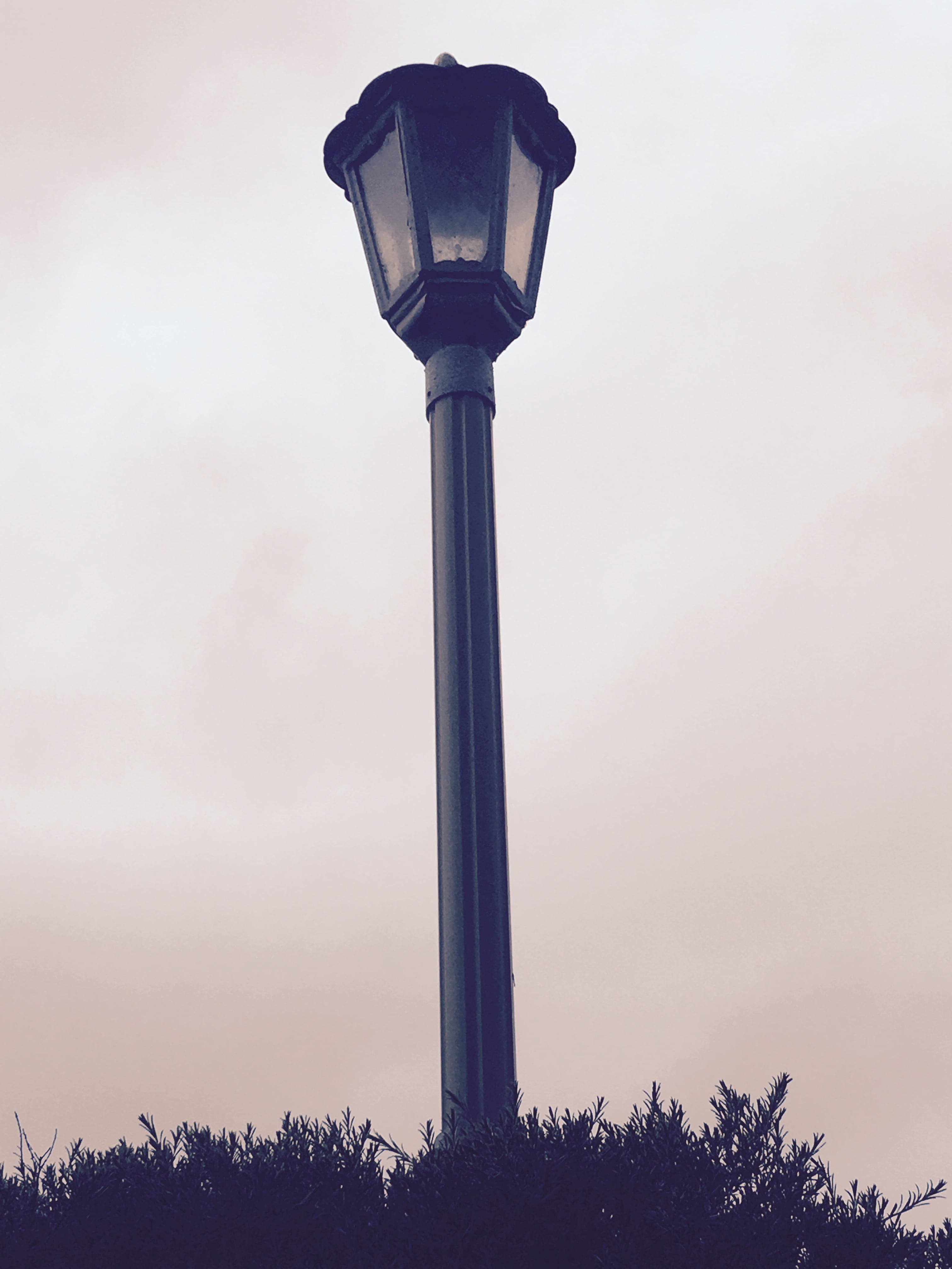 lamp, light, decorative, sky, low angle view, street light